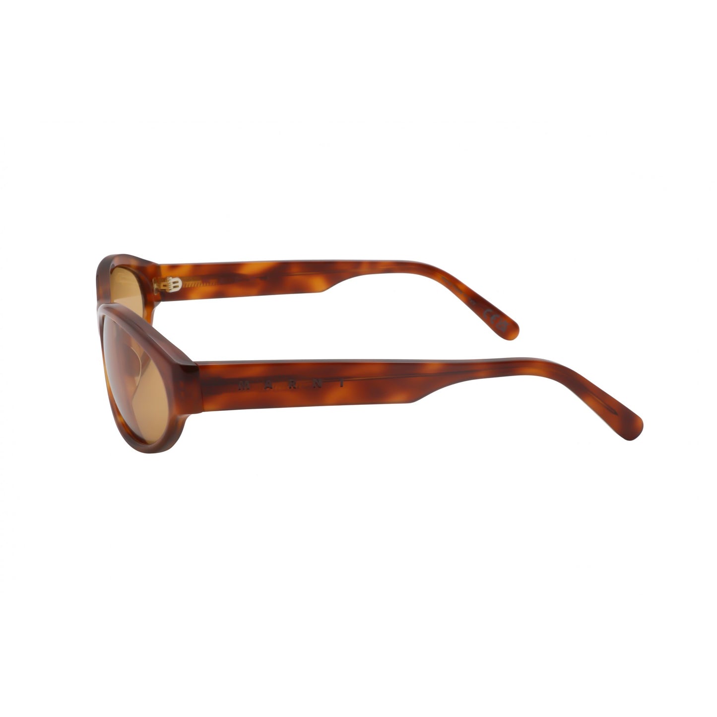 Marni OUZOUD HAVANA