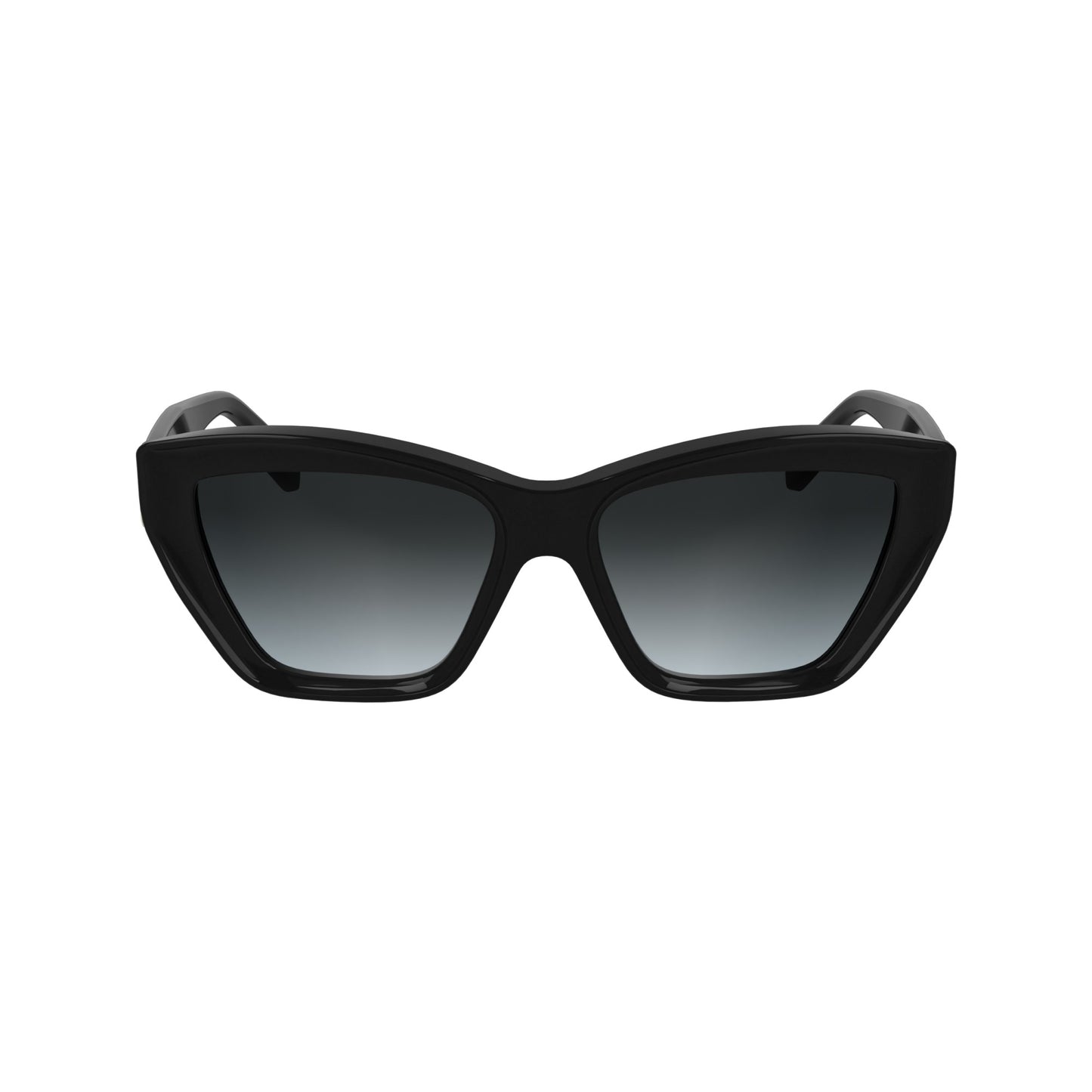 Karl Lagerfeld KL6179S N
