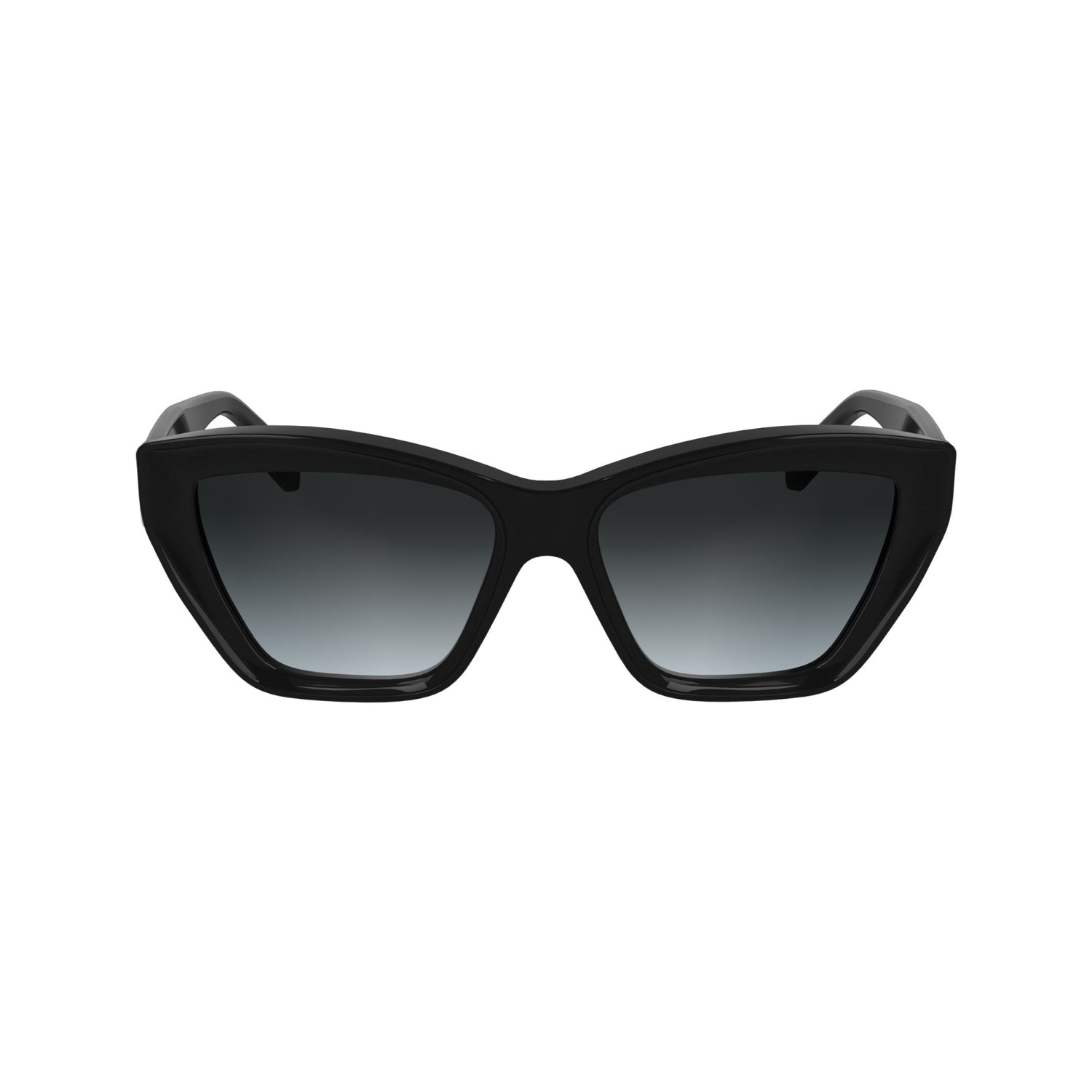 Karl Lagerfeld KL6179S N