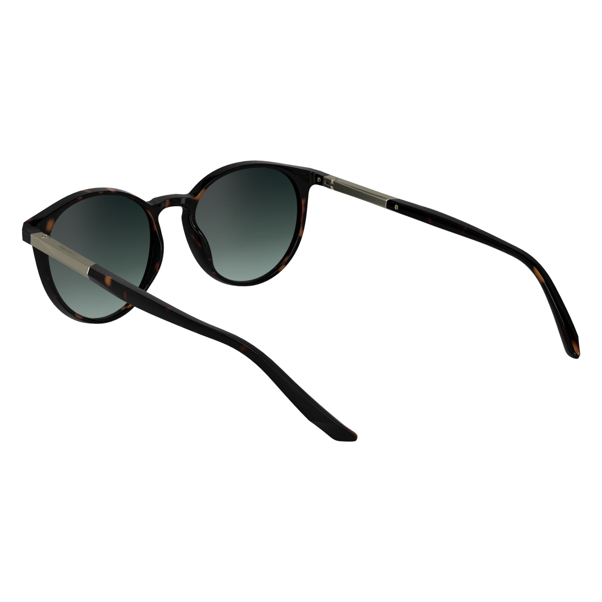 Calvin Klein CK24539S