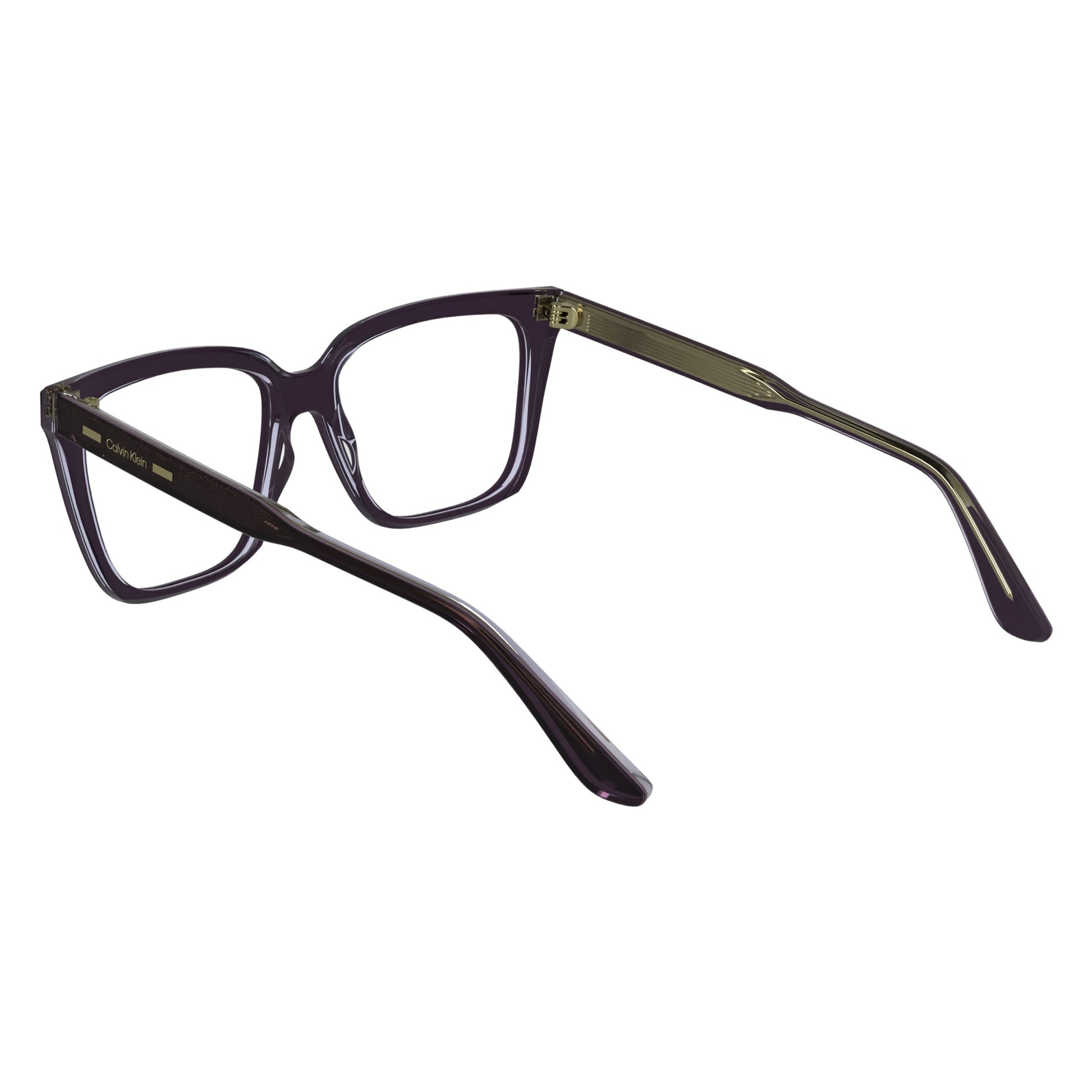 Calvin Klein CK24541