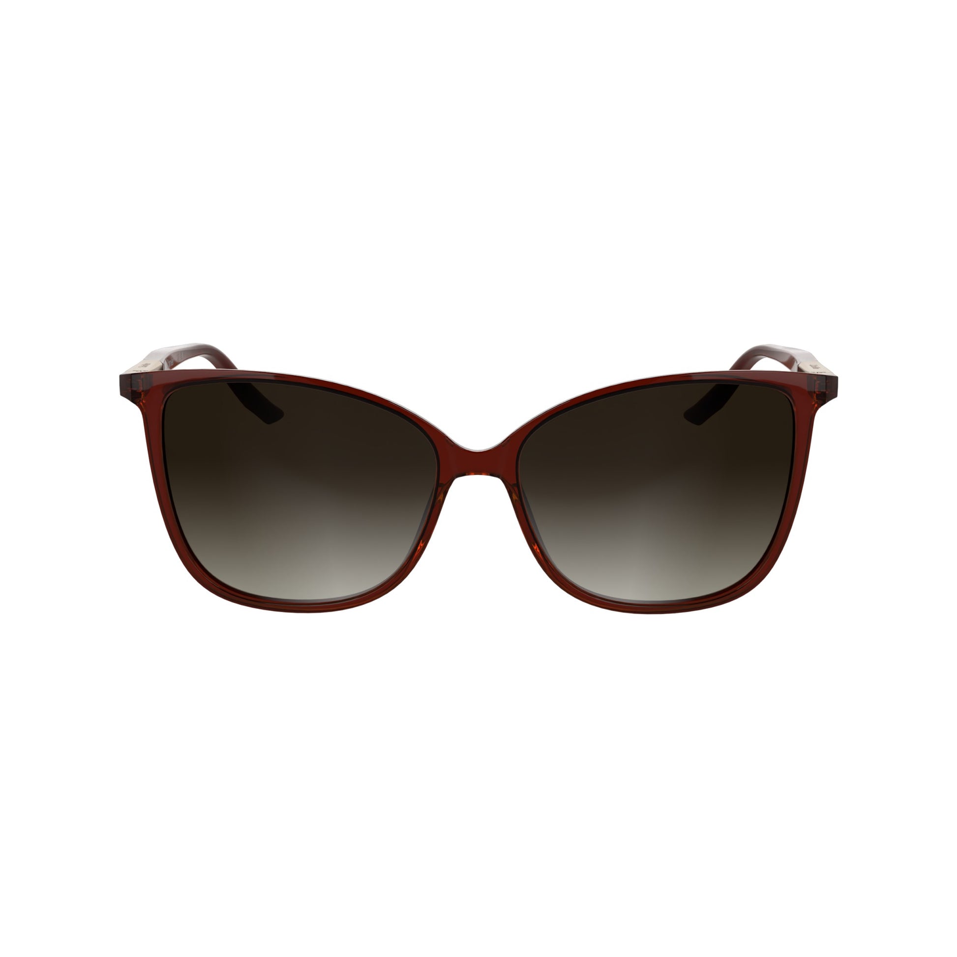Calvin Klein CK25504S