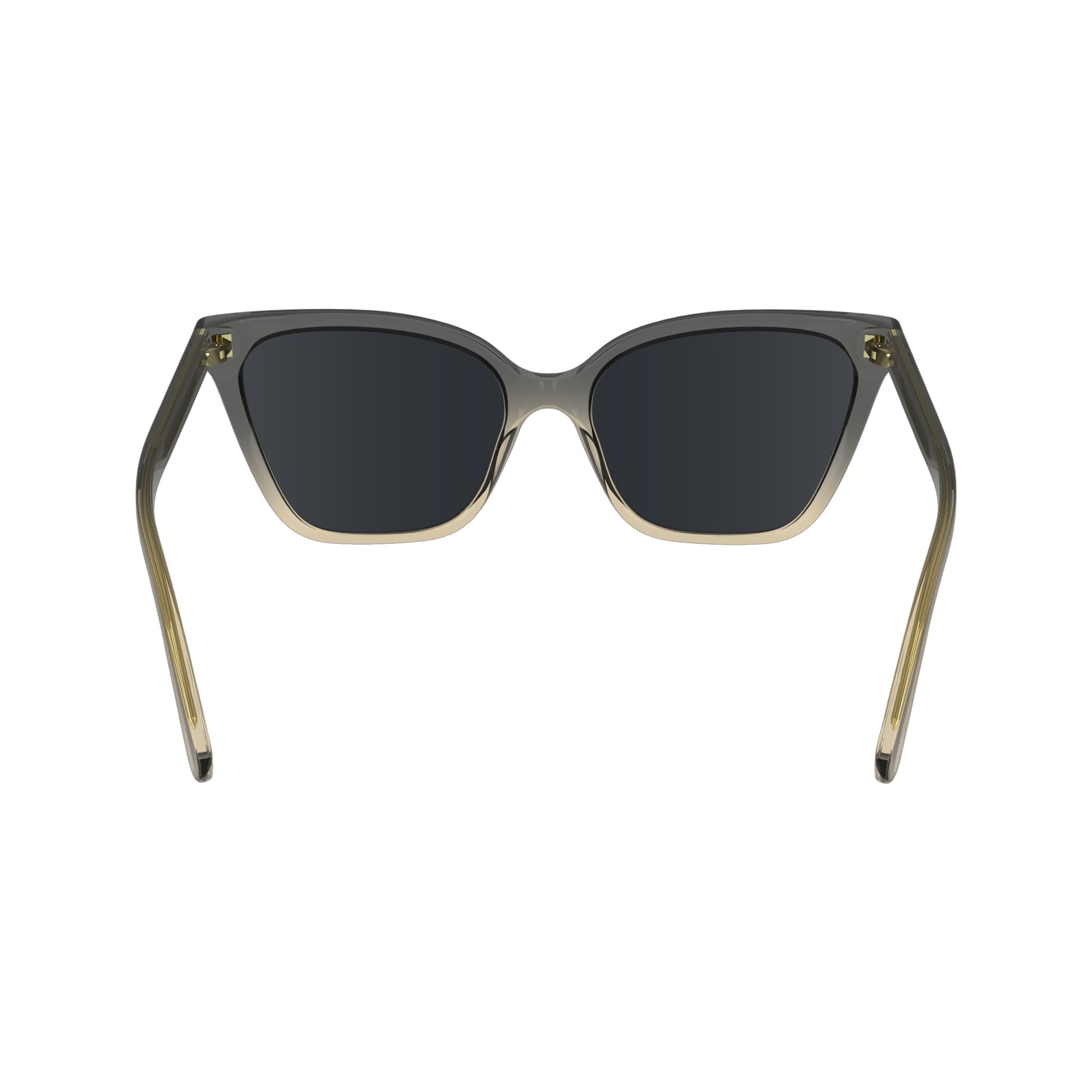 Calvin Klein CK24507S N