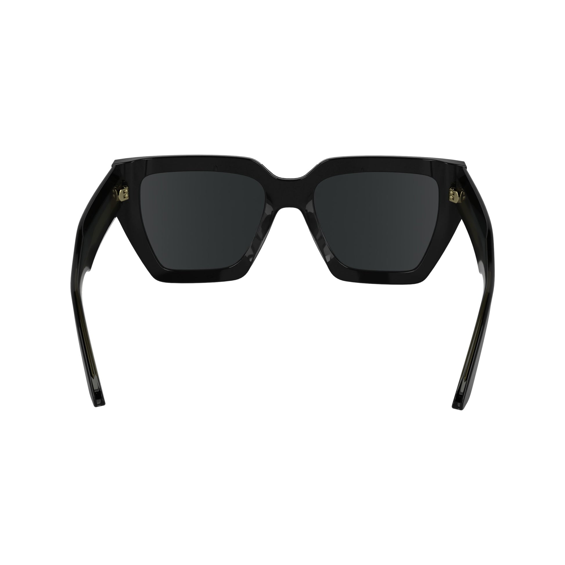 Calvin Klein CK24533S N