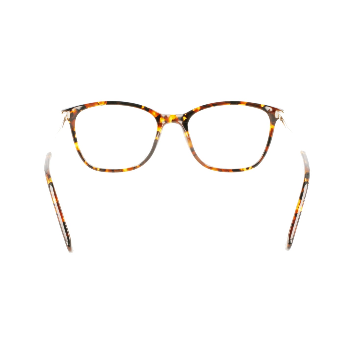 Longchamp LO2683