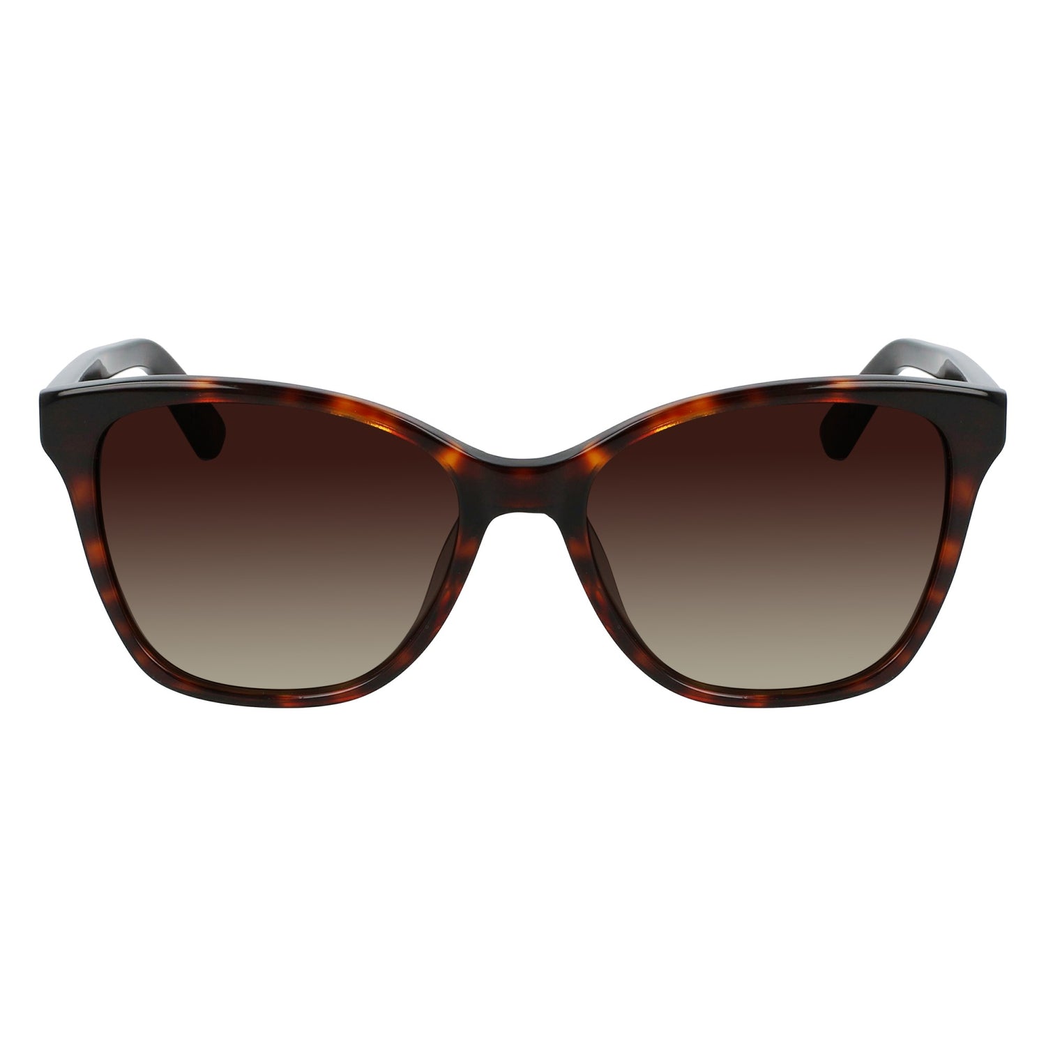 Calvin Klein CK21529S