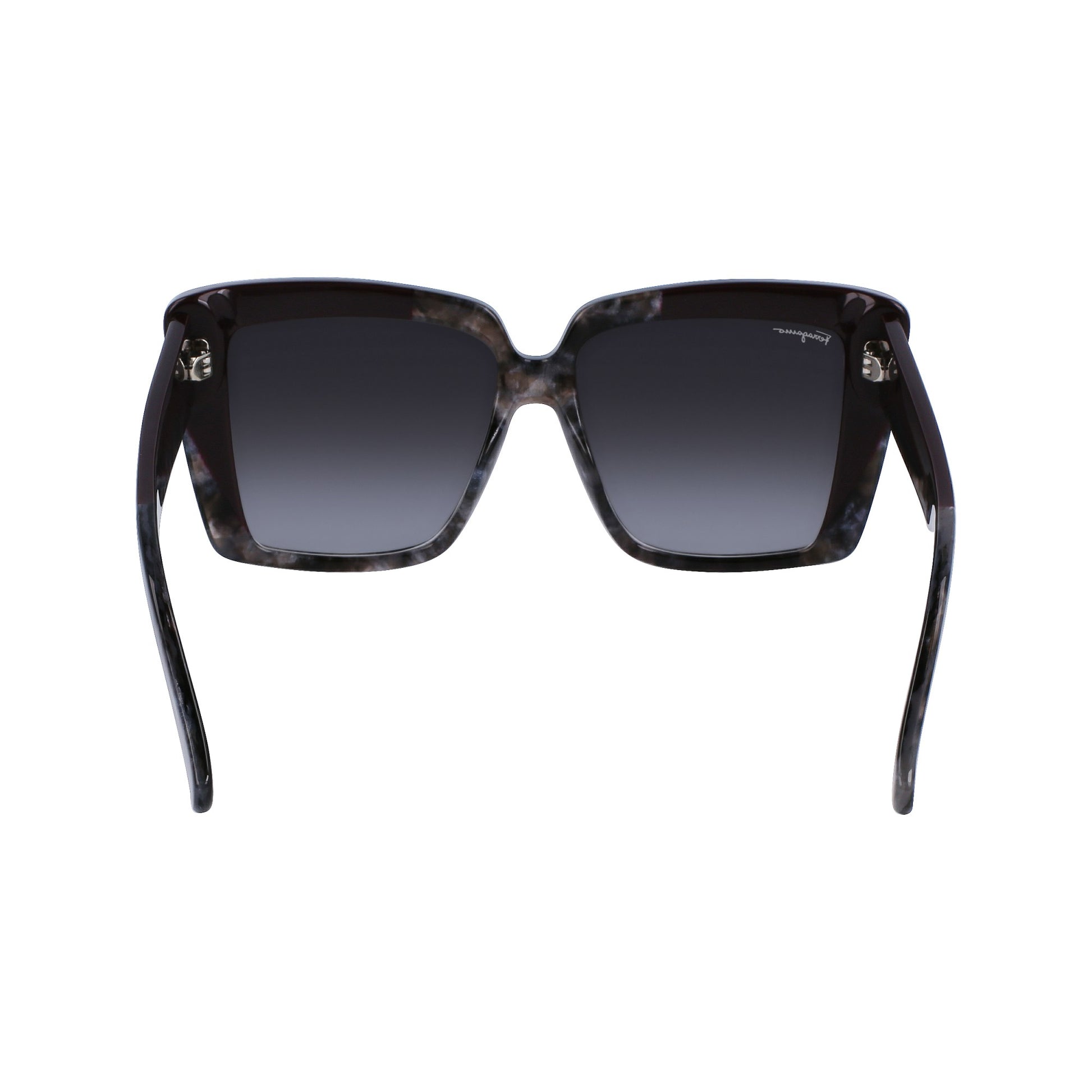 Ferragamo SF1060S