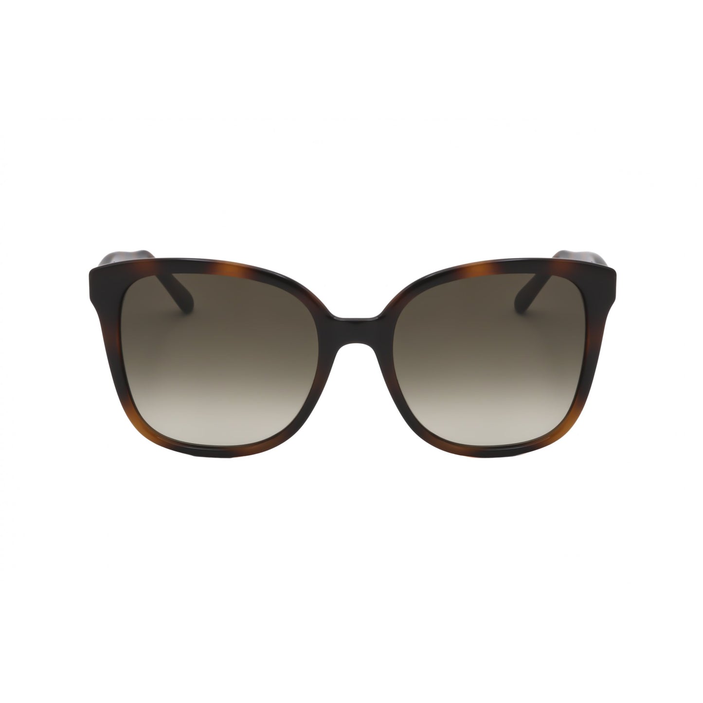 Ferragamo SF1072S
