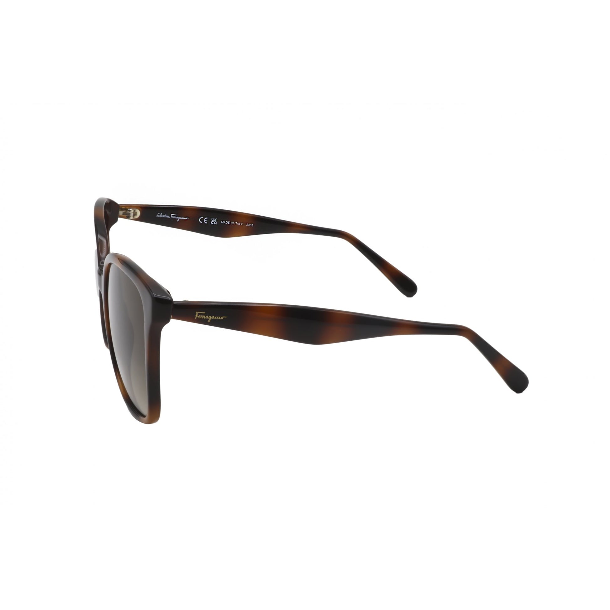 Ferragamo SF1072S