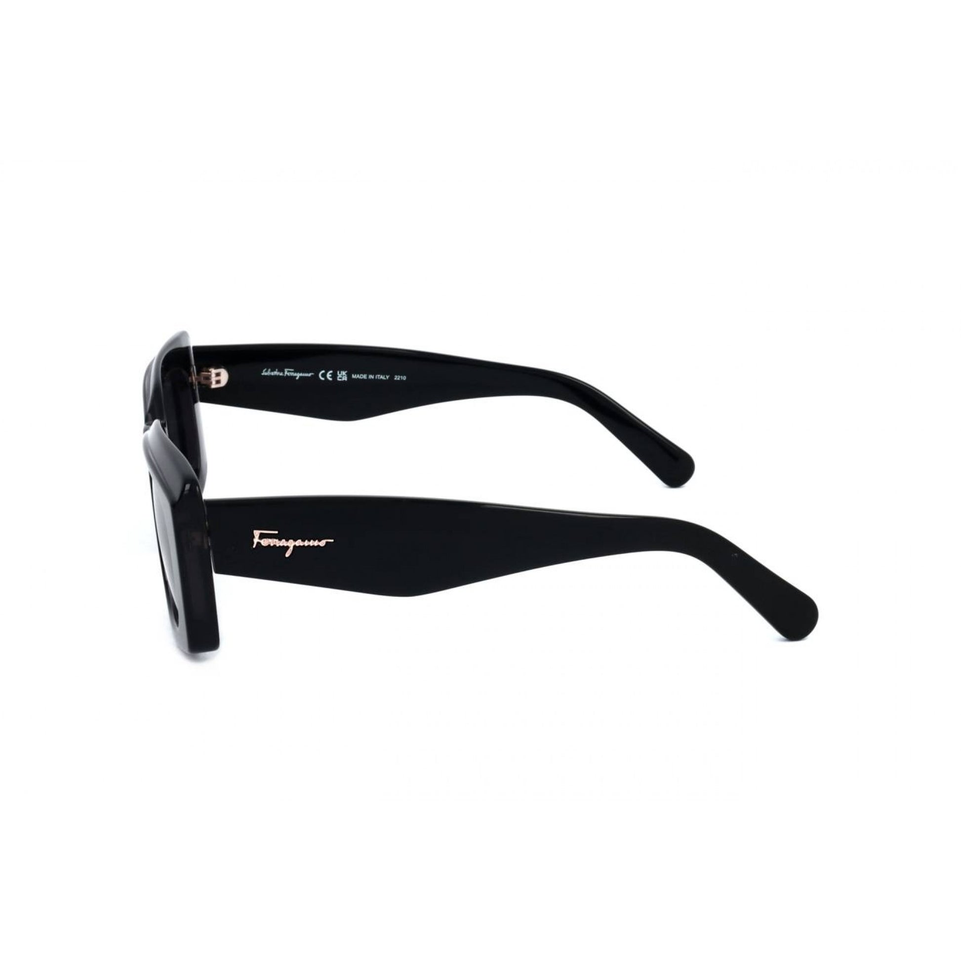 Ferragamo SF1079S