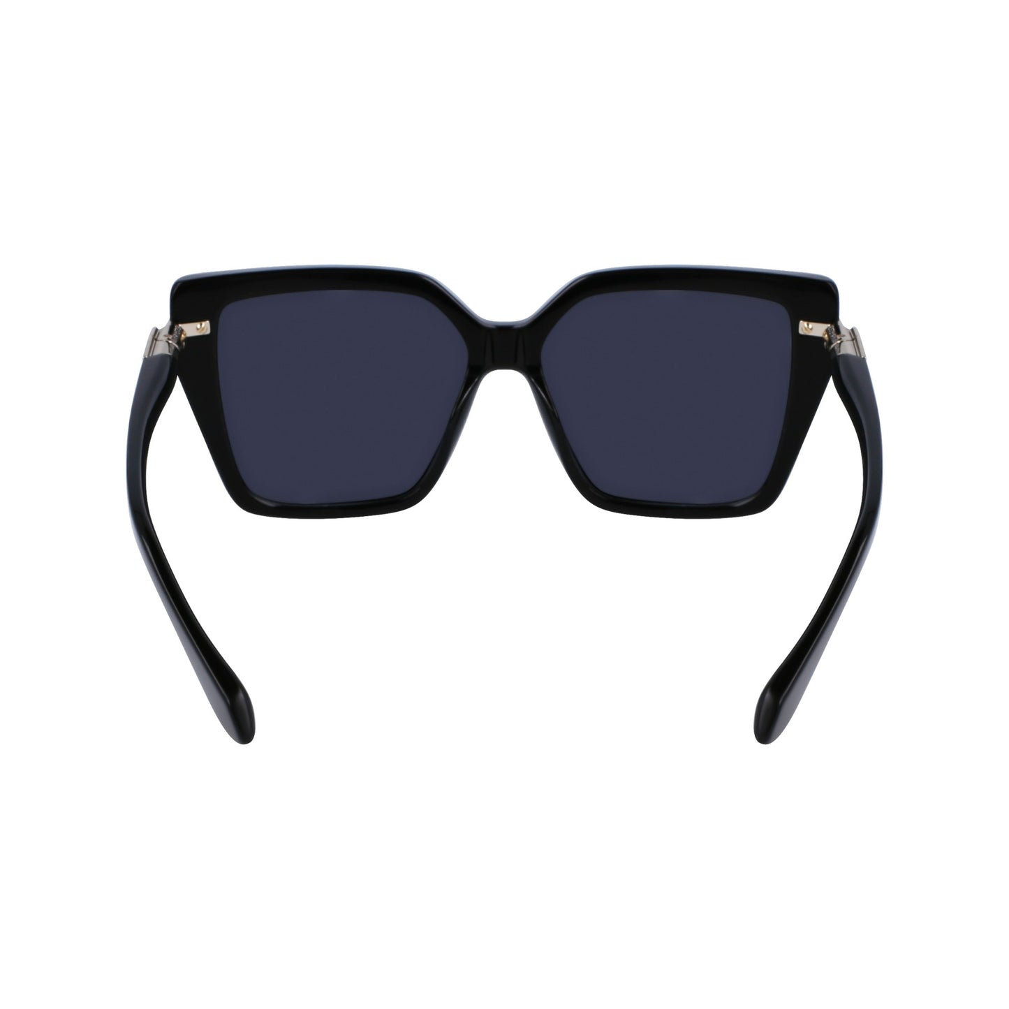 Ferragamo SF1106S