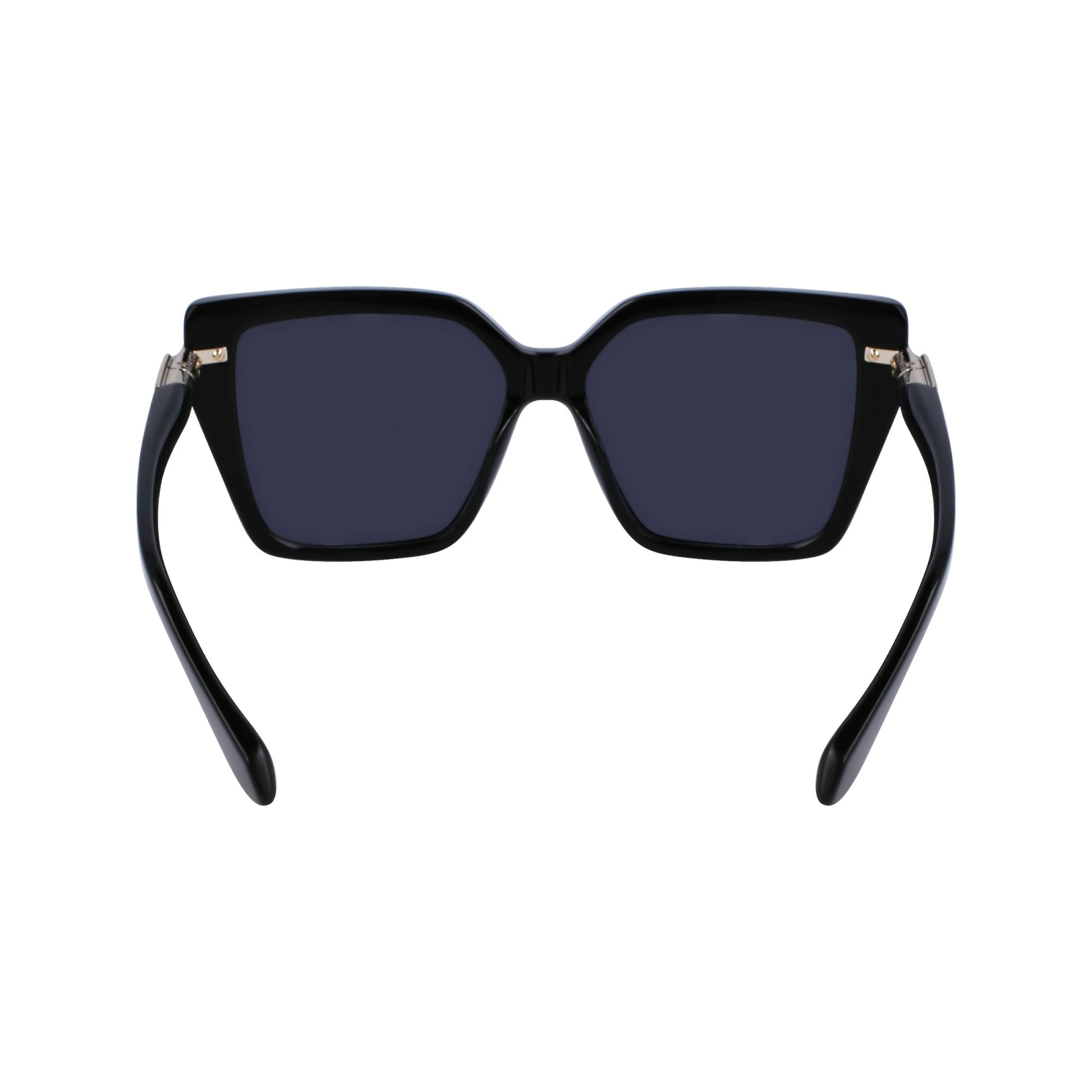 Ferragamo SF1106S