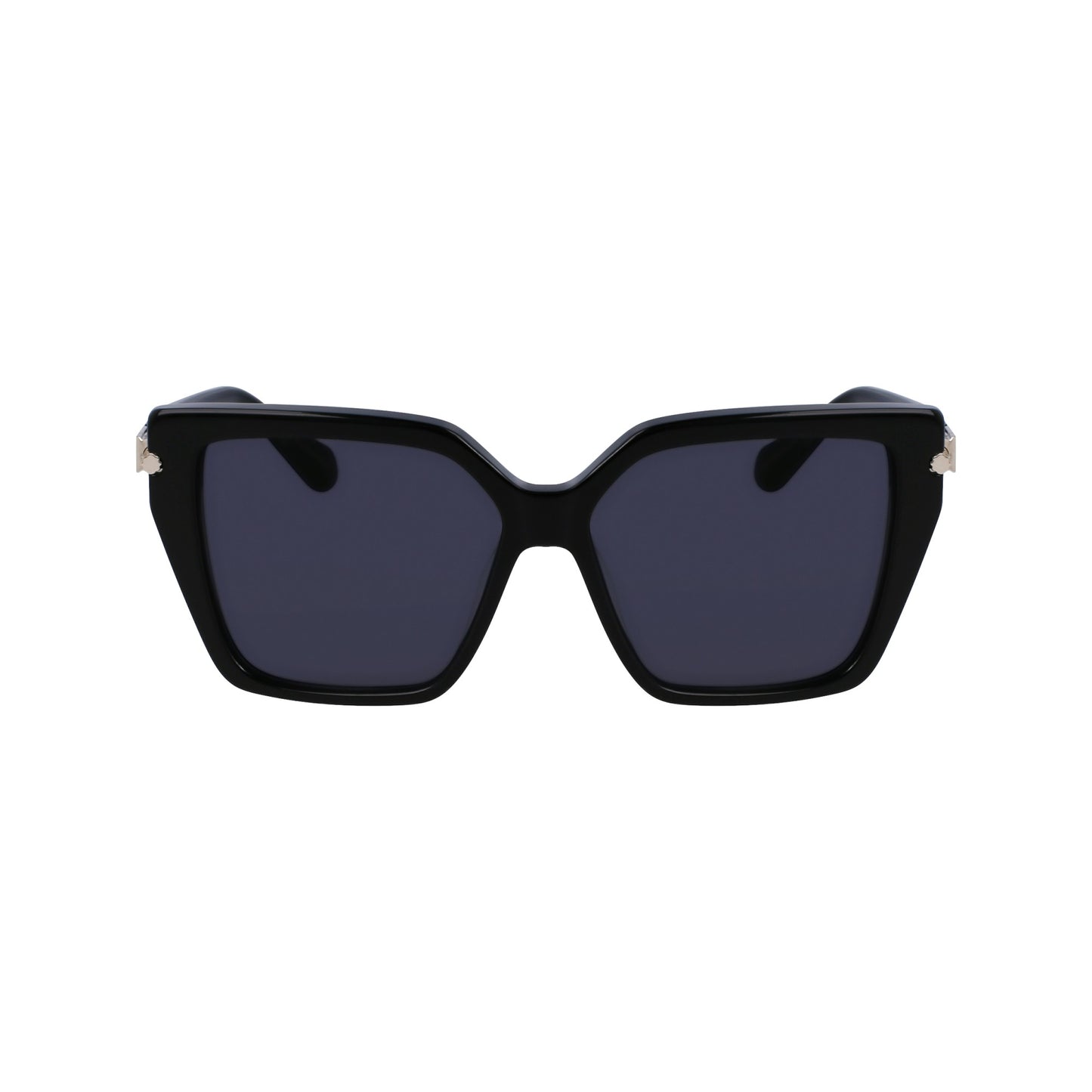 Ferragamo SF1106S
