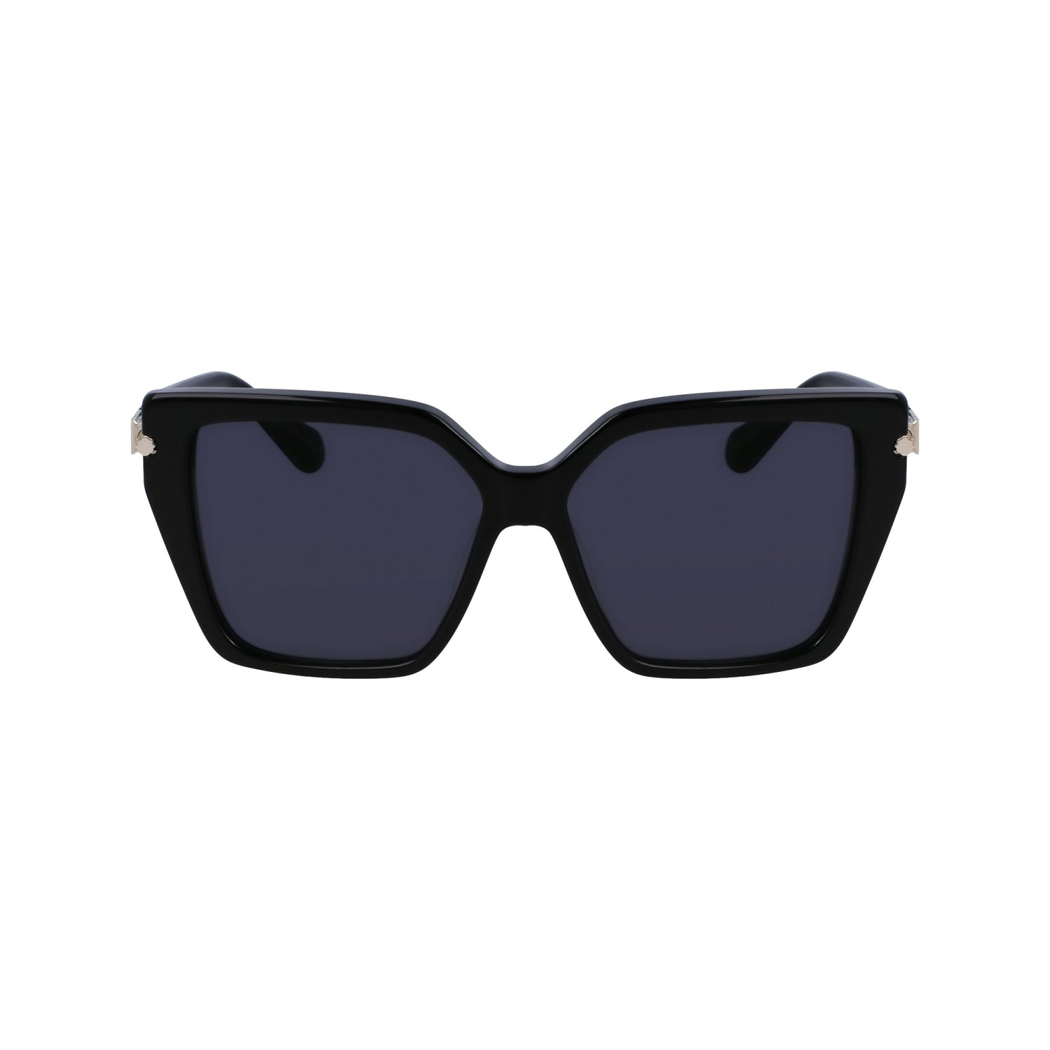 Ferragamo SF1106S