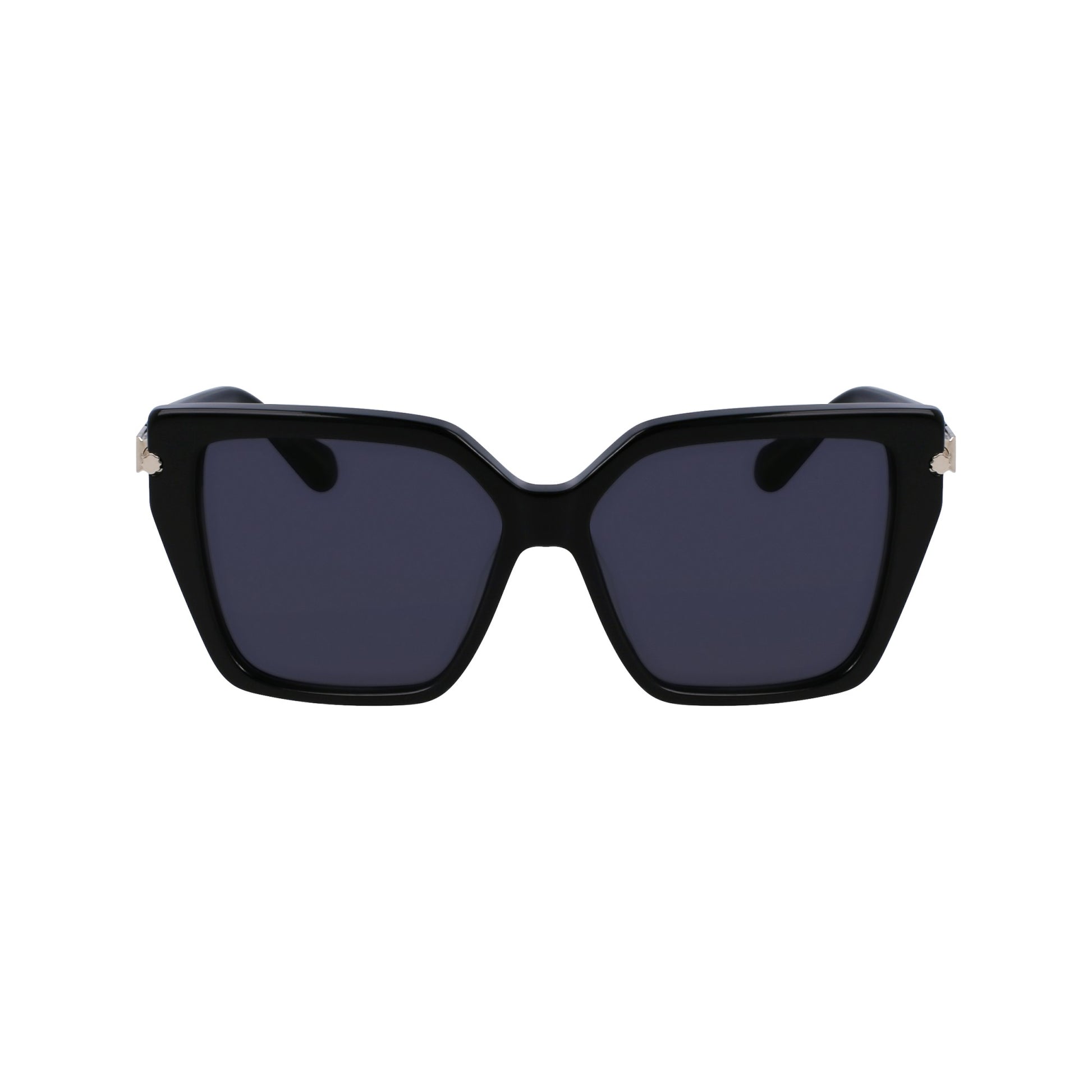 Ferragamo SF1106S