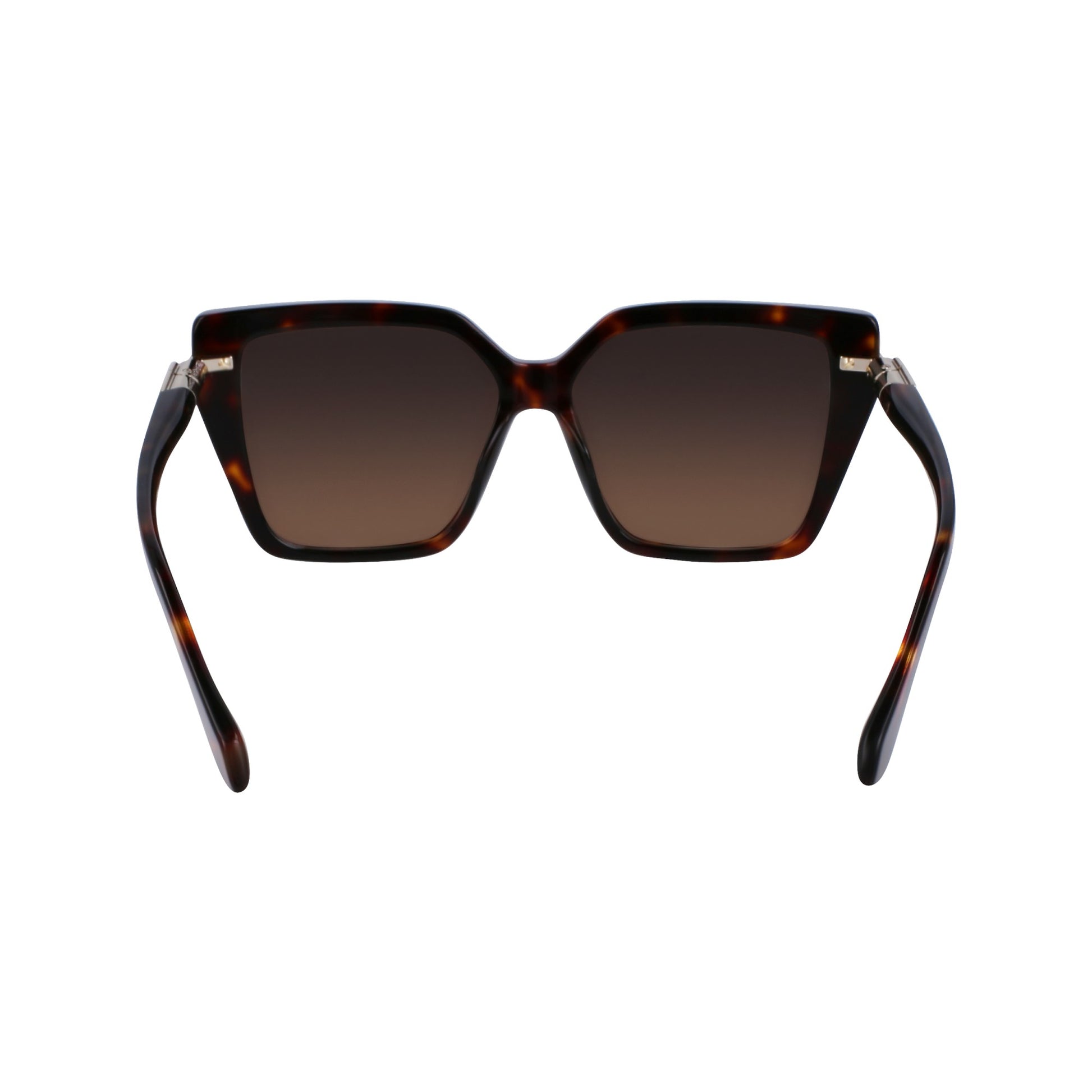 Ferragamo SF1106S