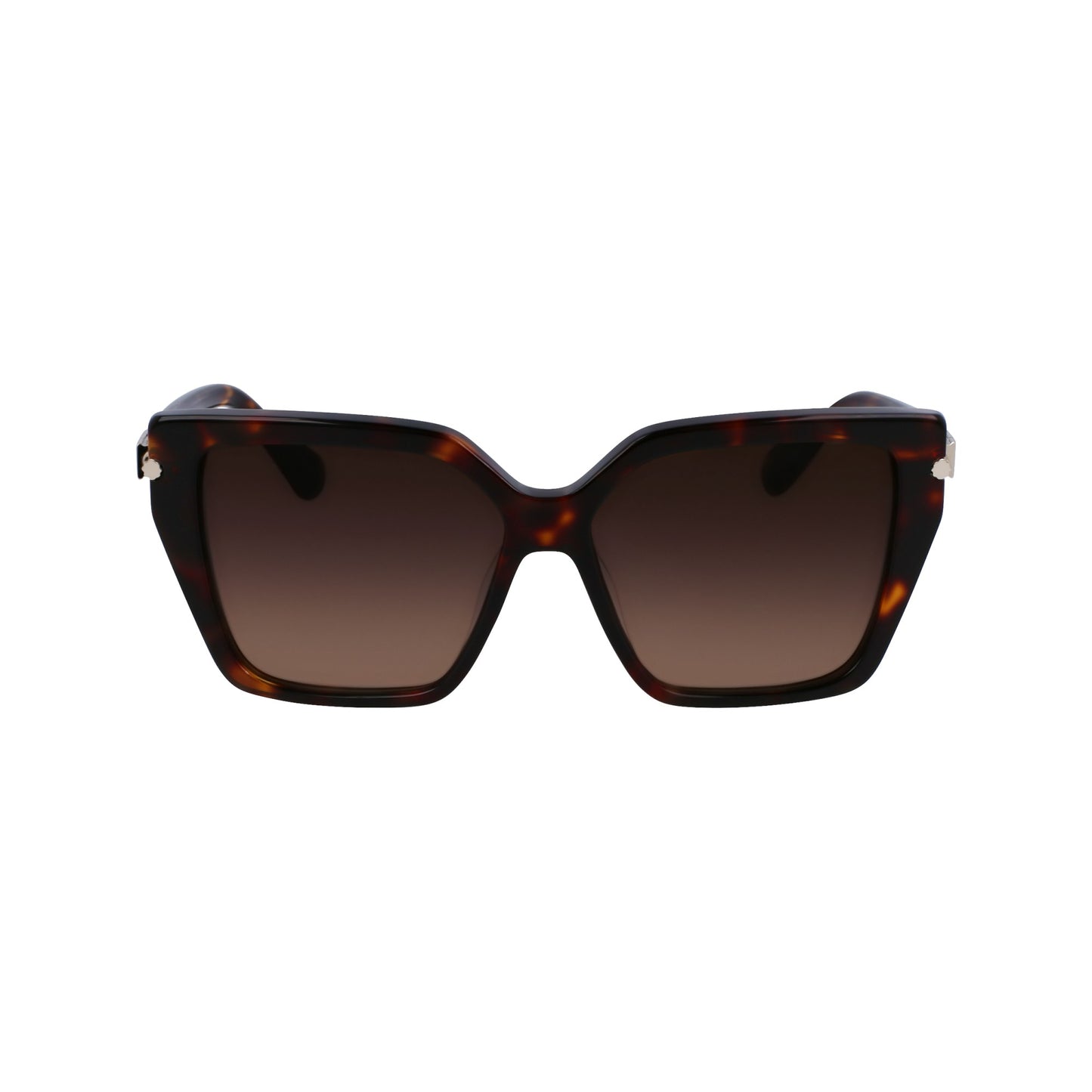 Ferragamo SF1106S