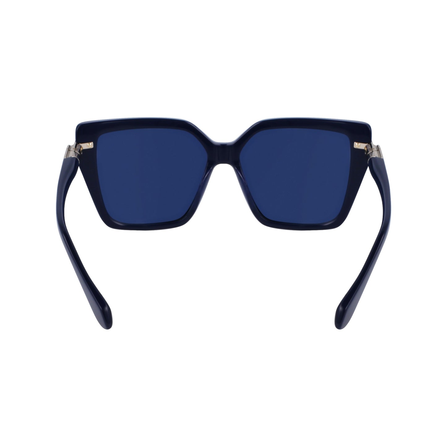 Ferragamo SF1106S
