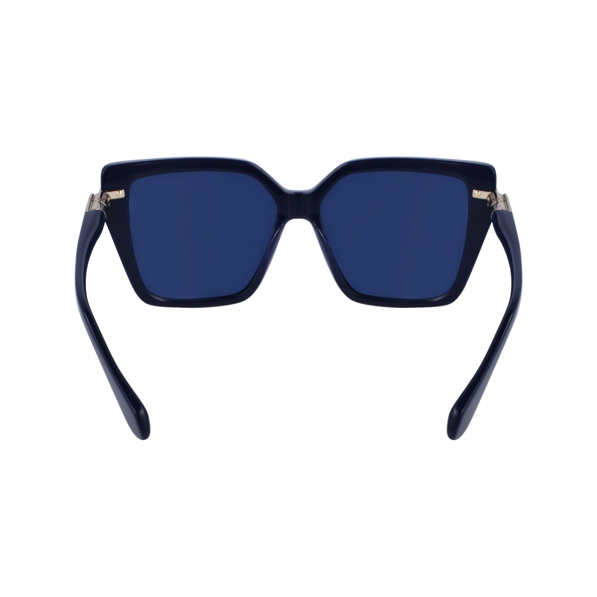 Ferragamo SF1106S