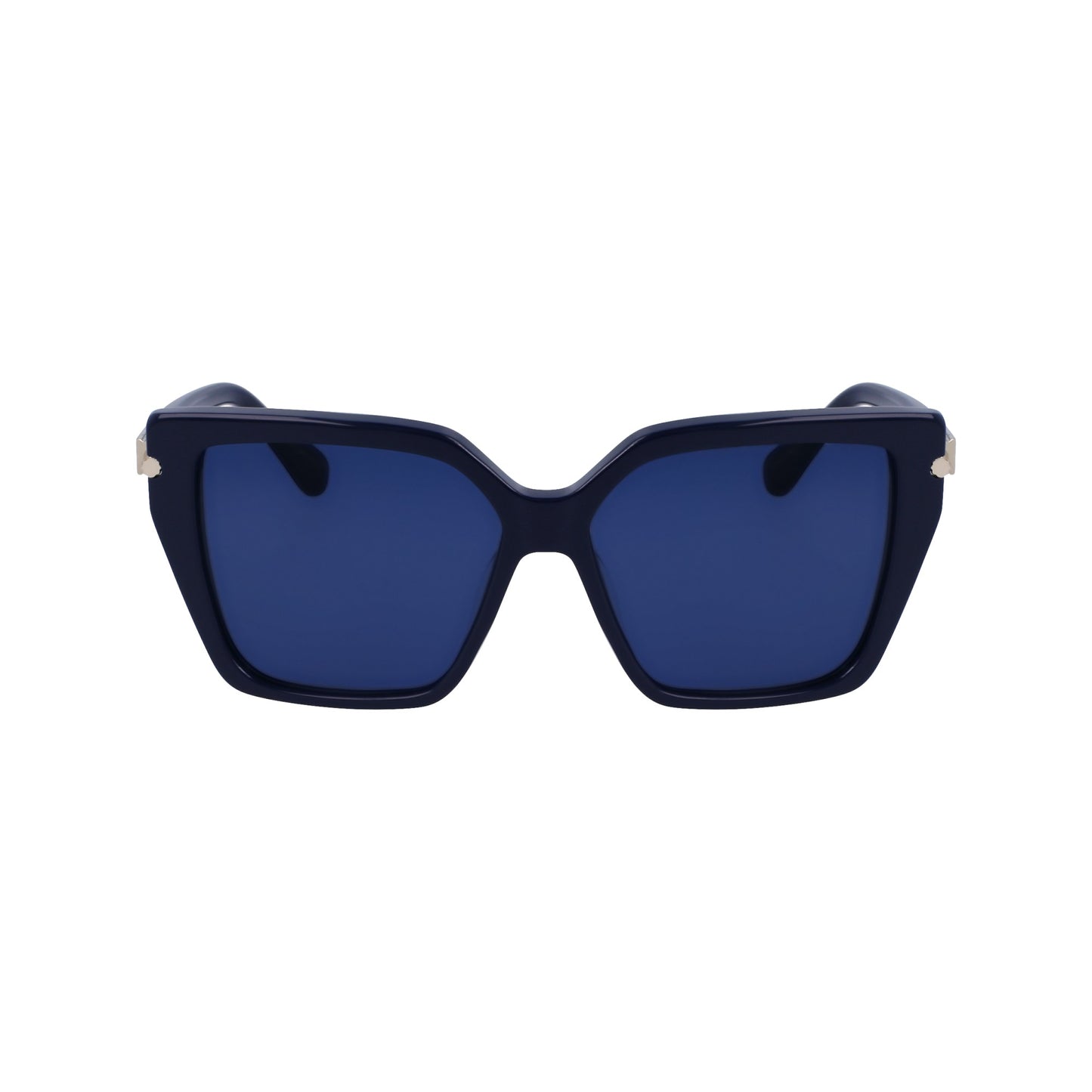 Ferragamo SF1106S