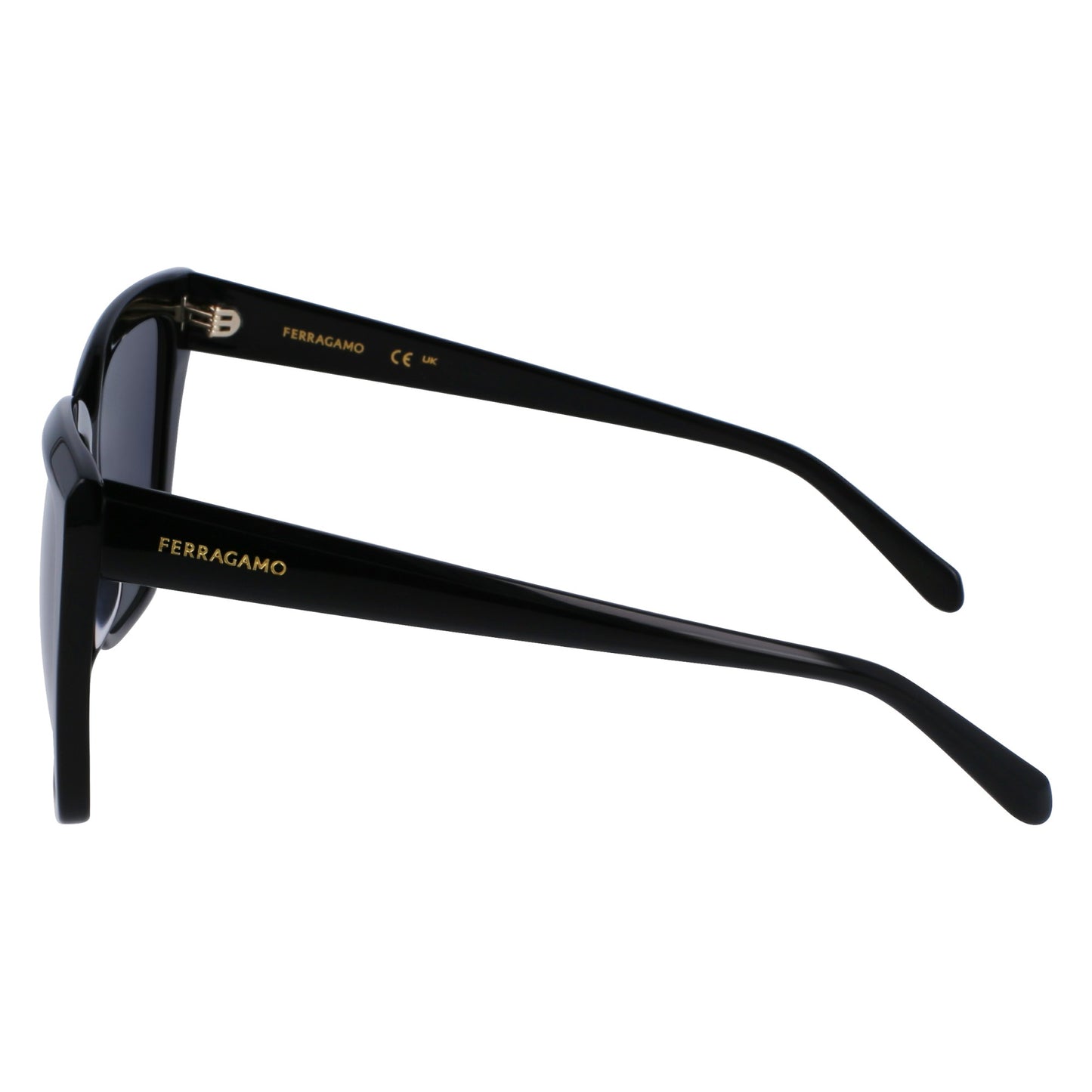 Ferragamo SF1102S