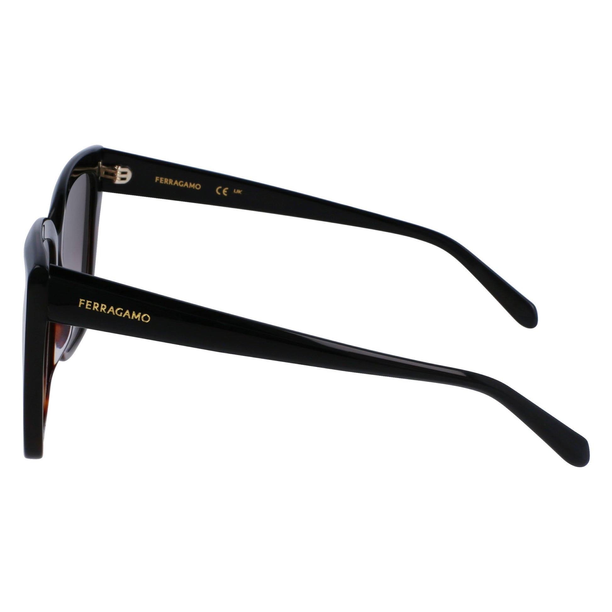 Ferragamo SF1102S
