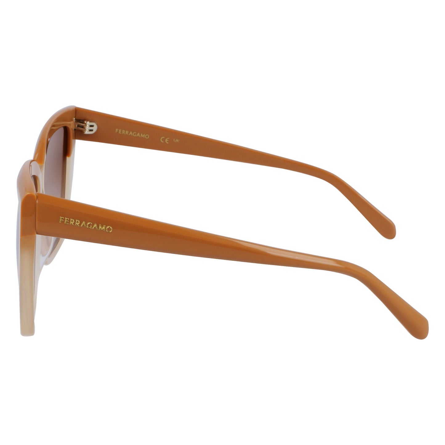 Ferragamo SF1102S