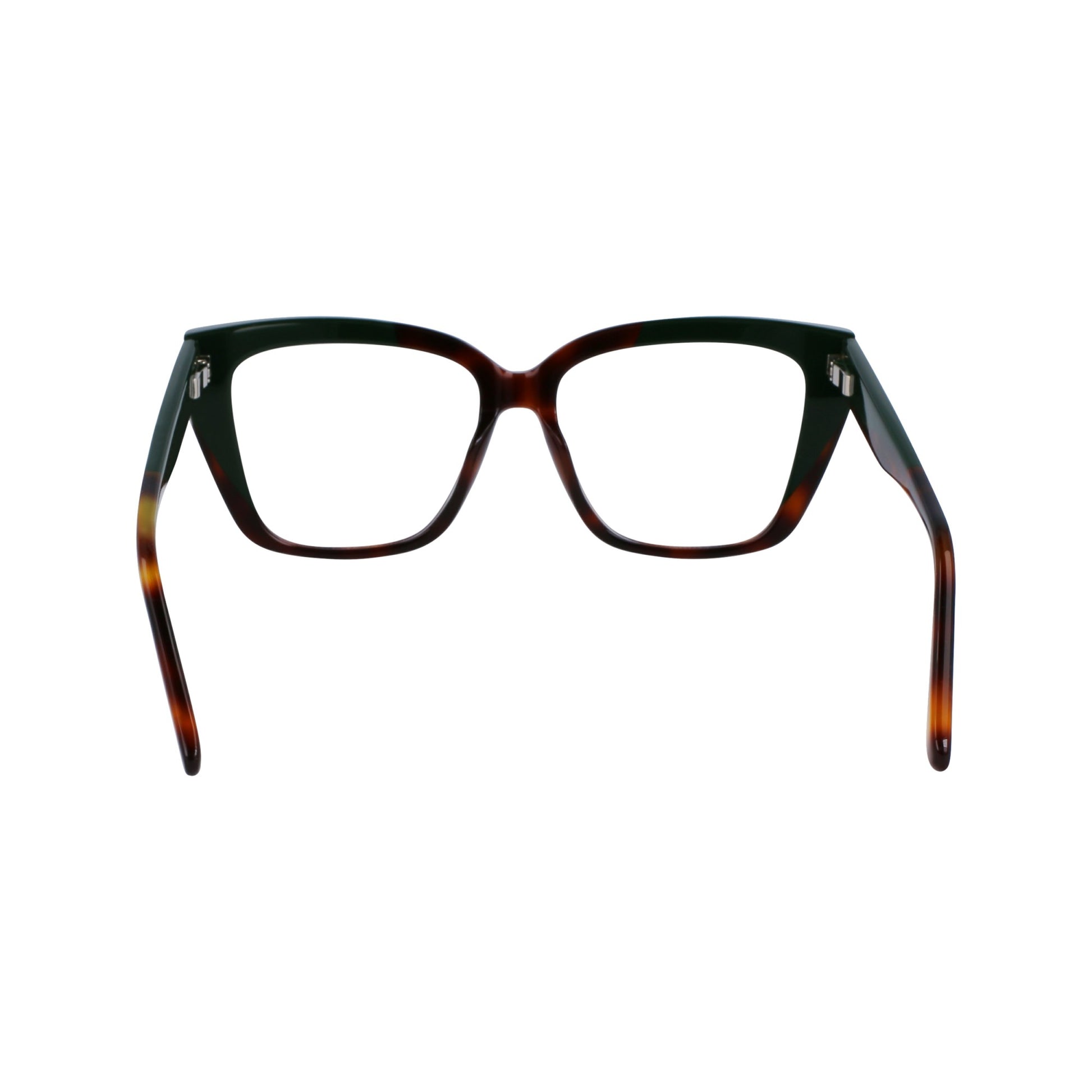 Ferragamo SF2939N