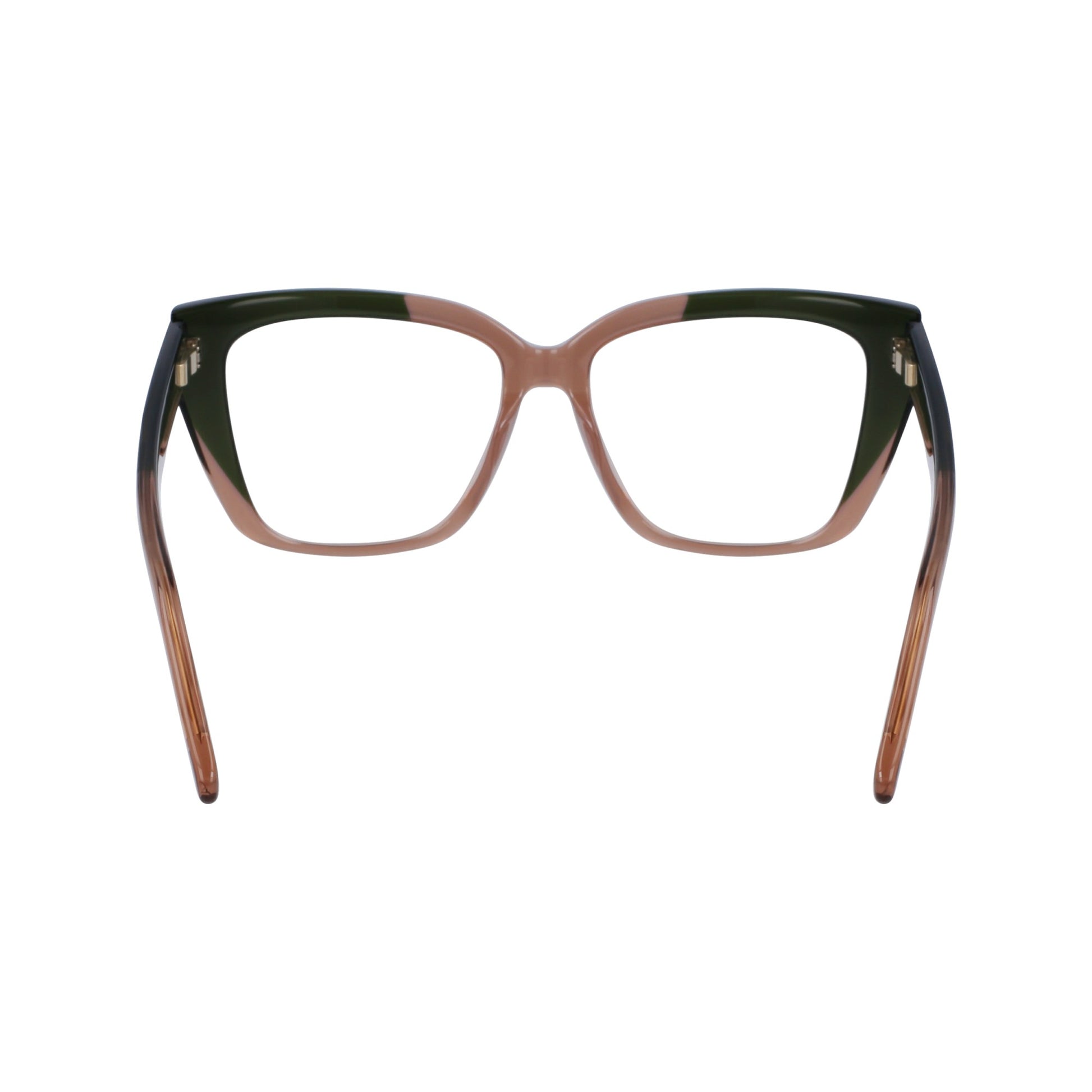 Ferragamo SF2939N