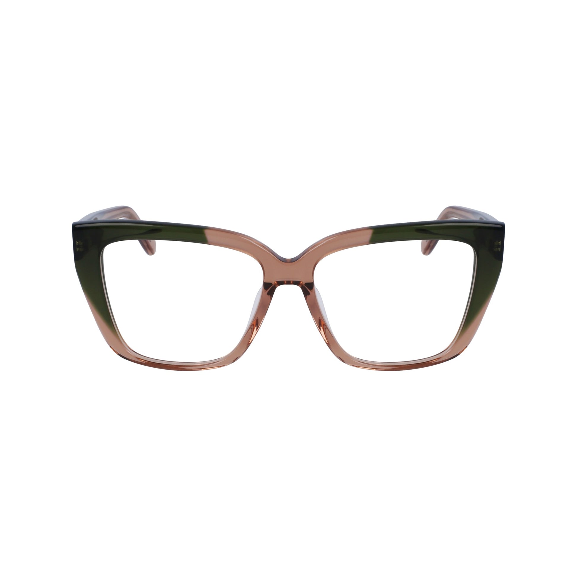 Ferragamo SF2939N