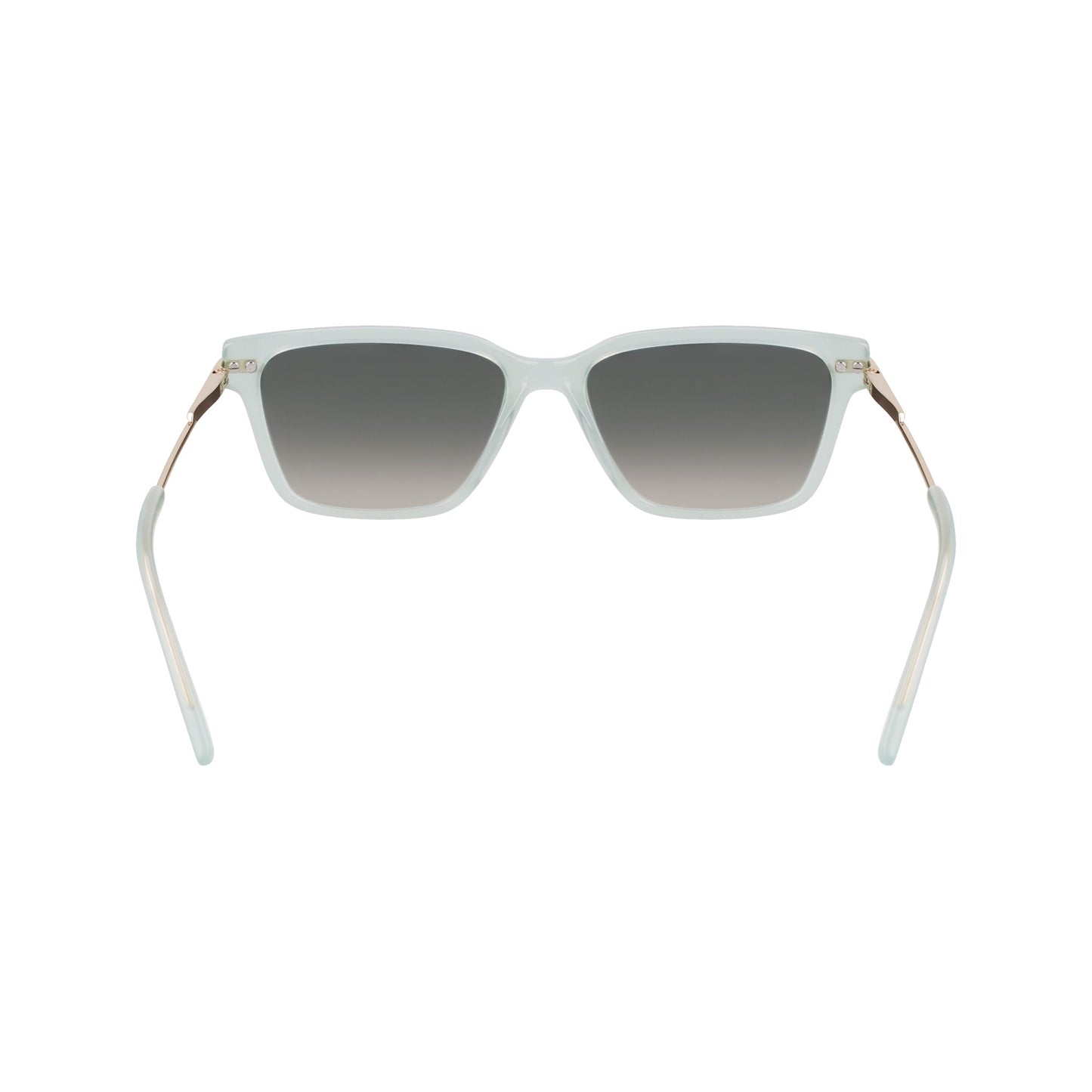 Dkny DK713S