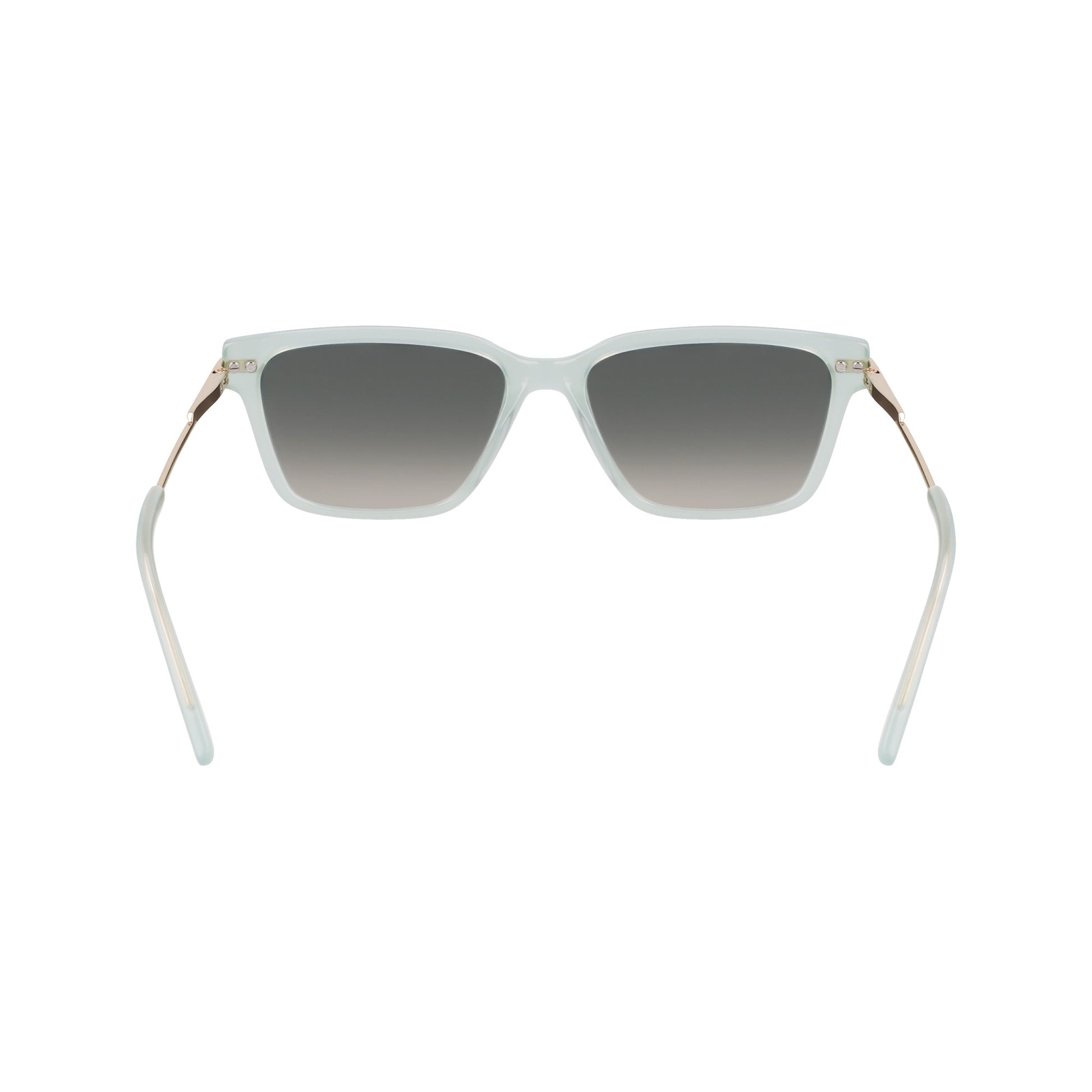 Dkny DK713S