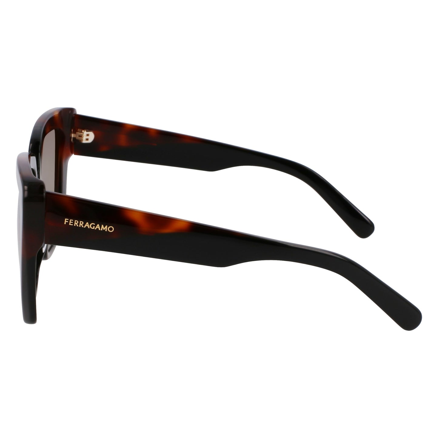 Ferragamo SF1060SN
