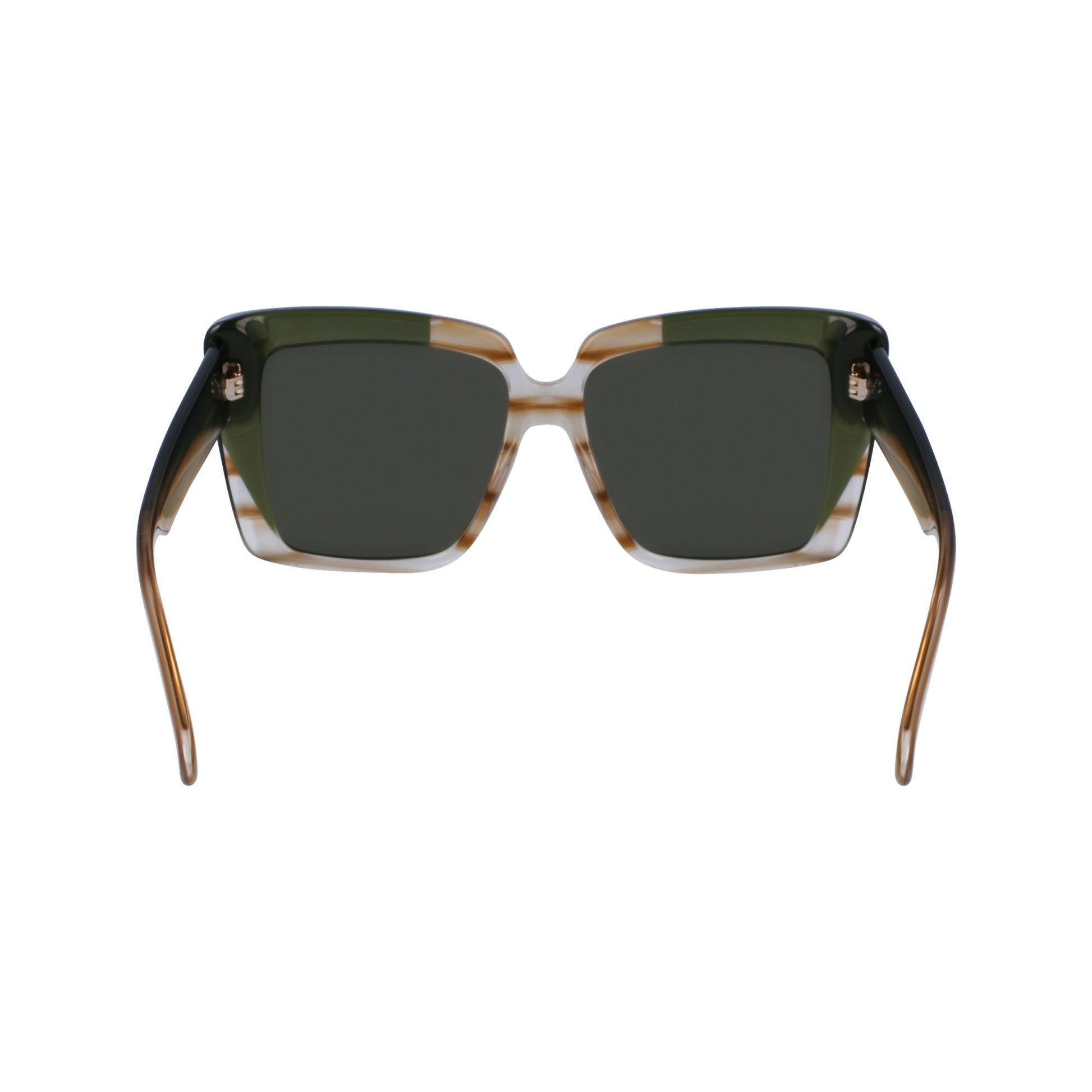 Ferragamo SF1060SN