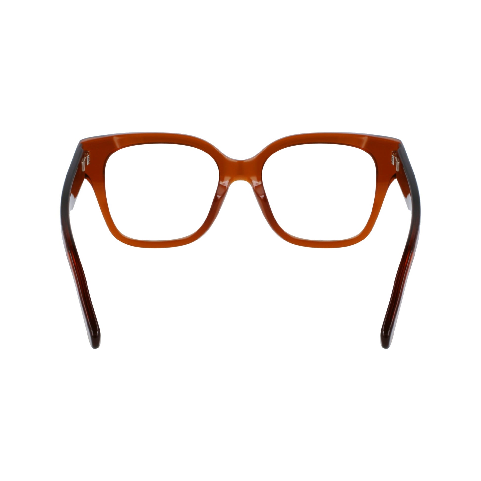 Ferragamo SF2952N