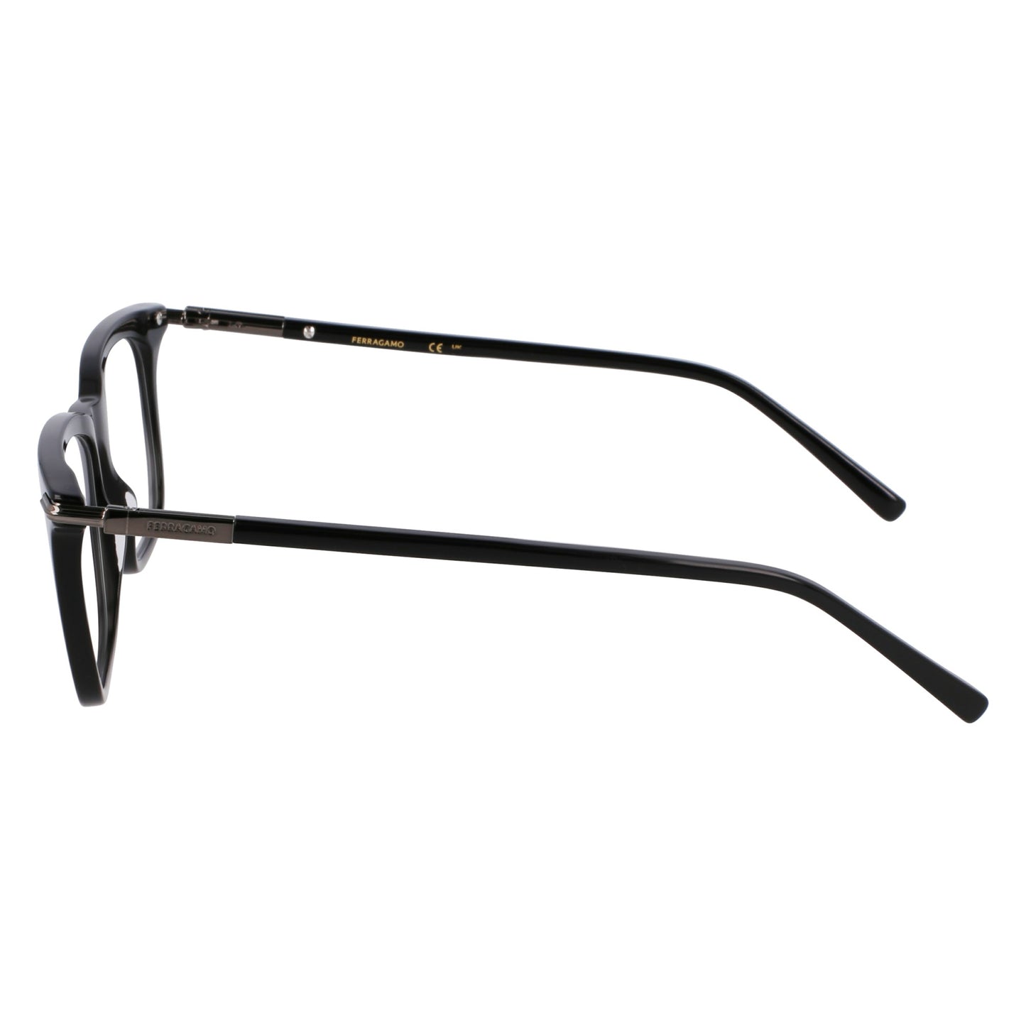 Ferragamo SF3007