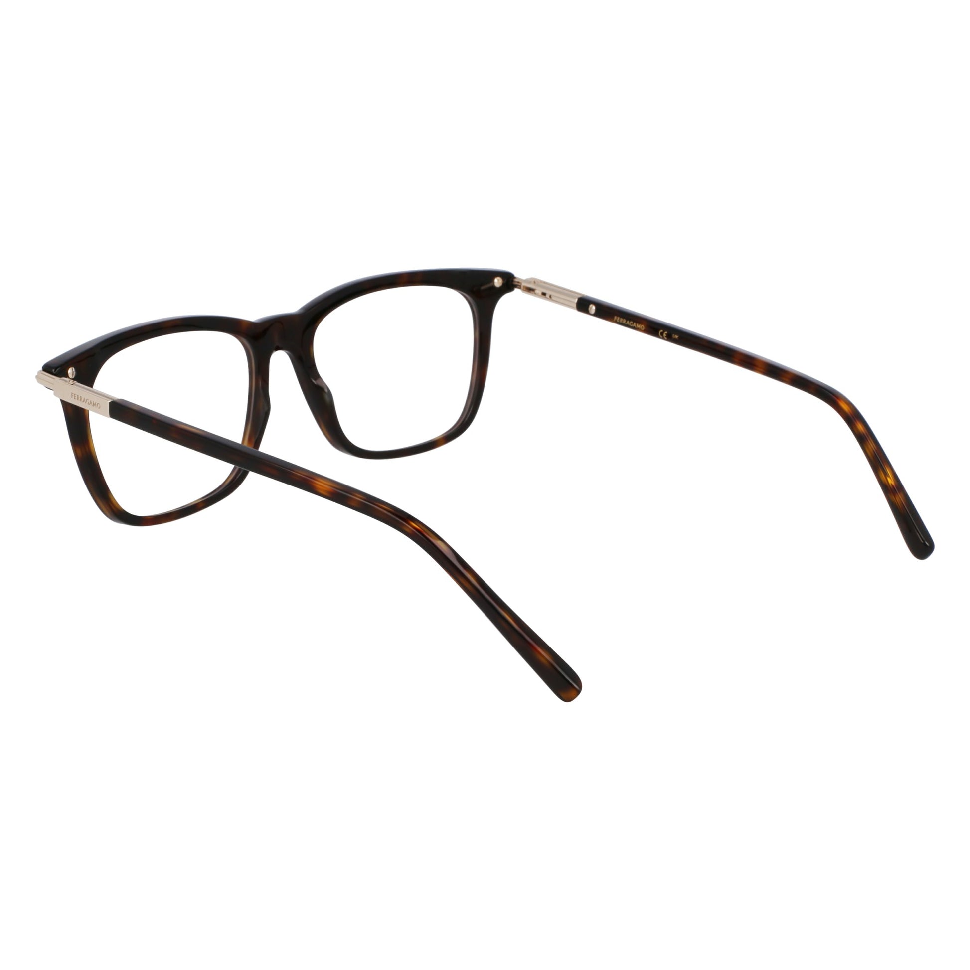 Ferragamo SF3007