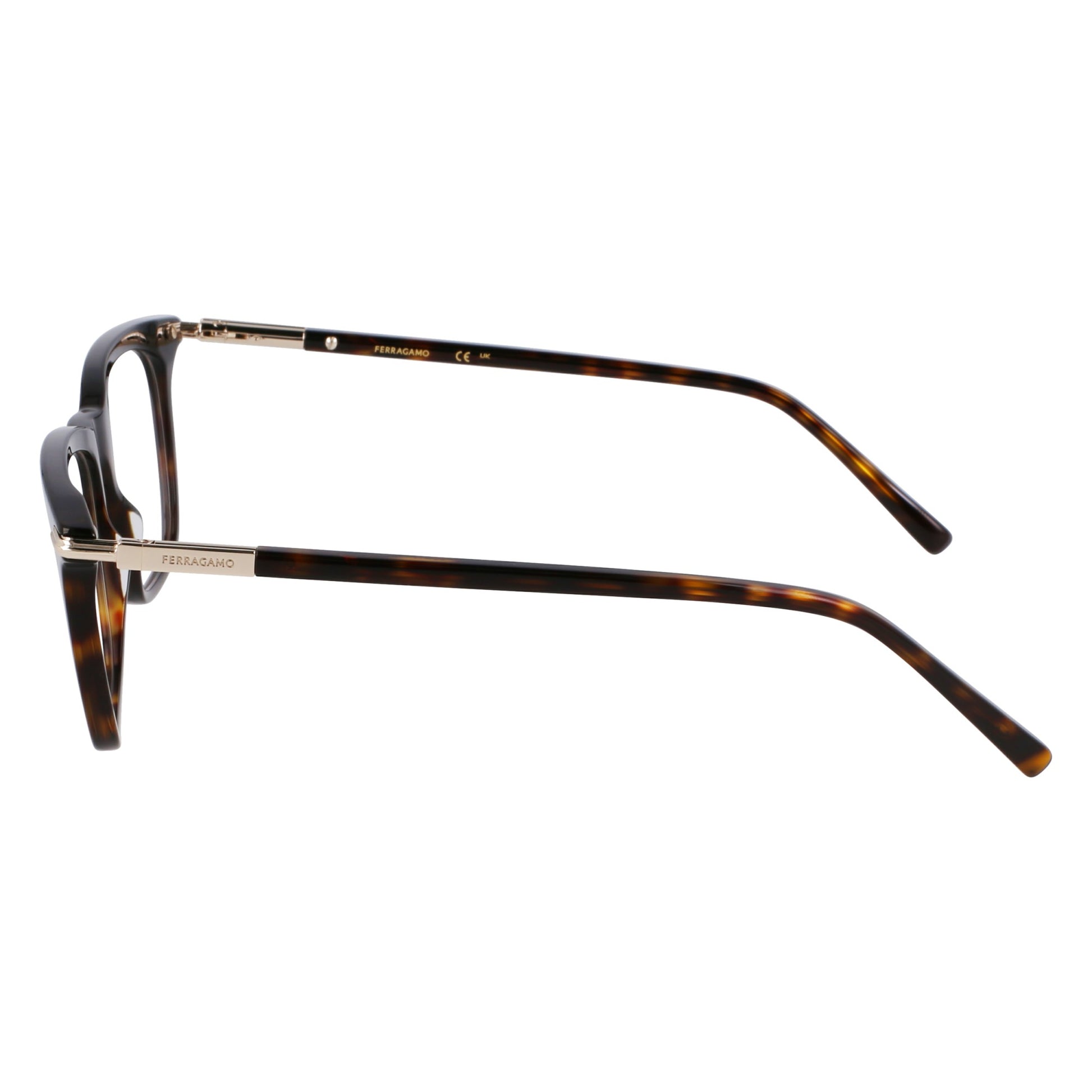 Ferragamo SF3007