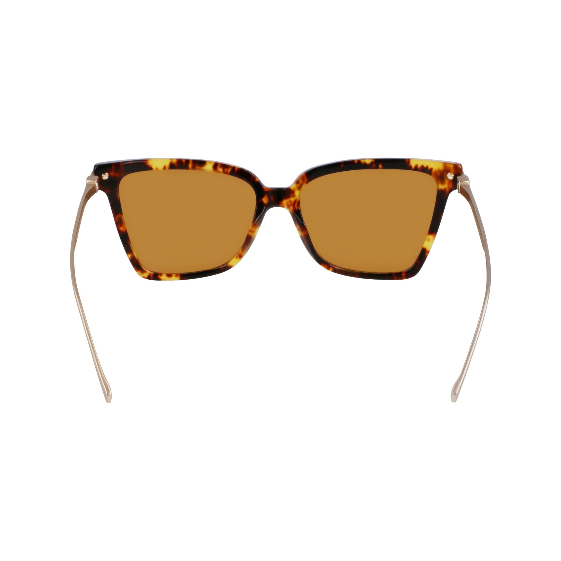 Ferragamo SF2036S