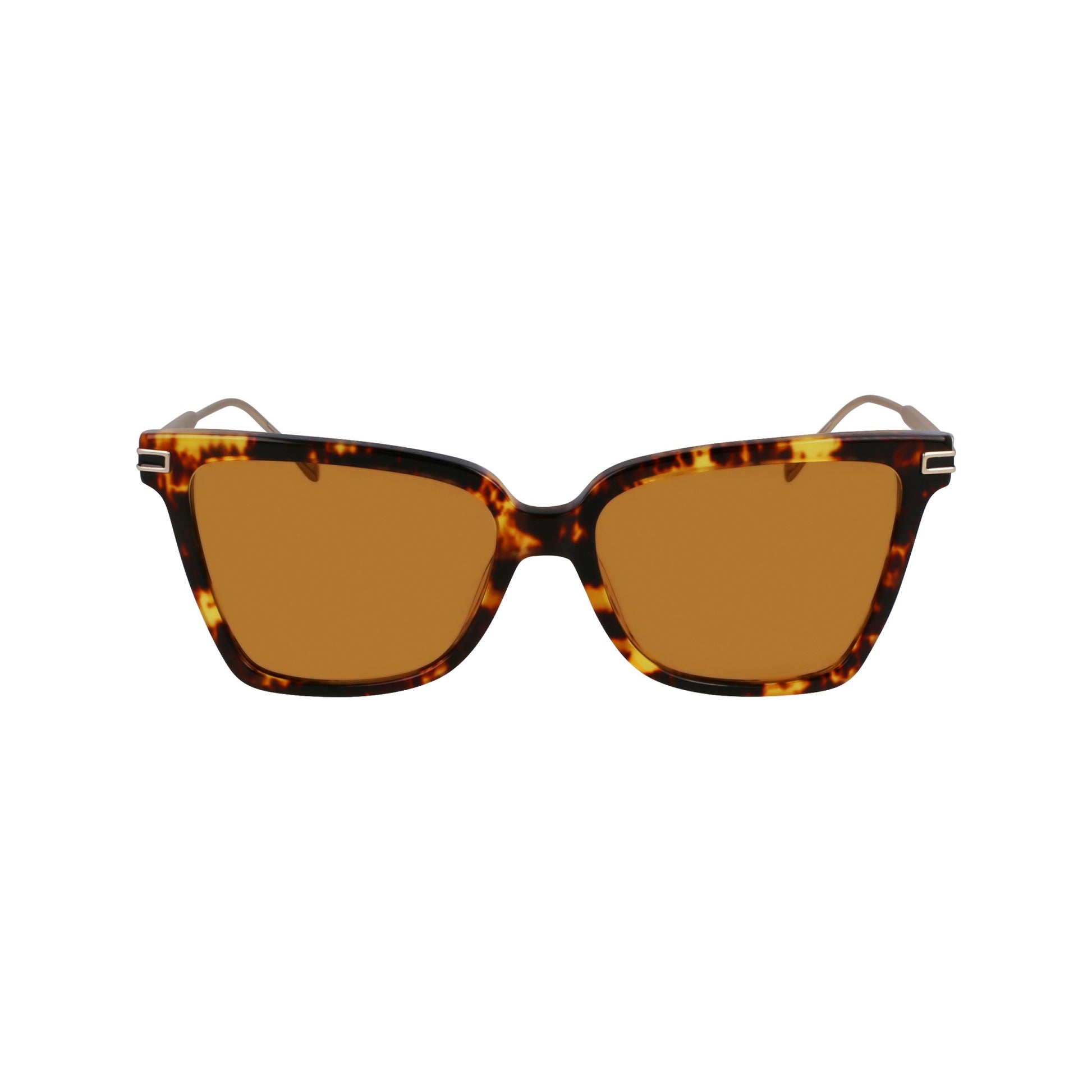 Ferragamo SF2036S