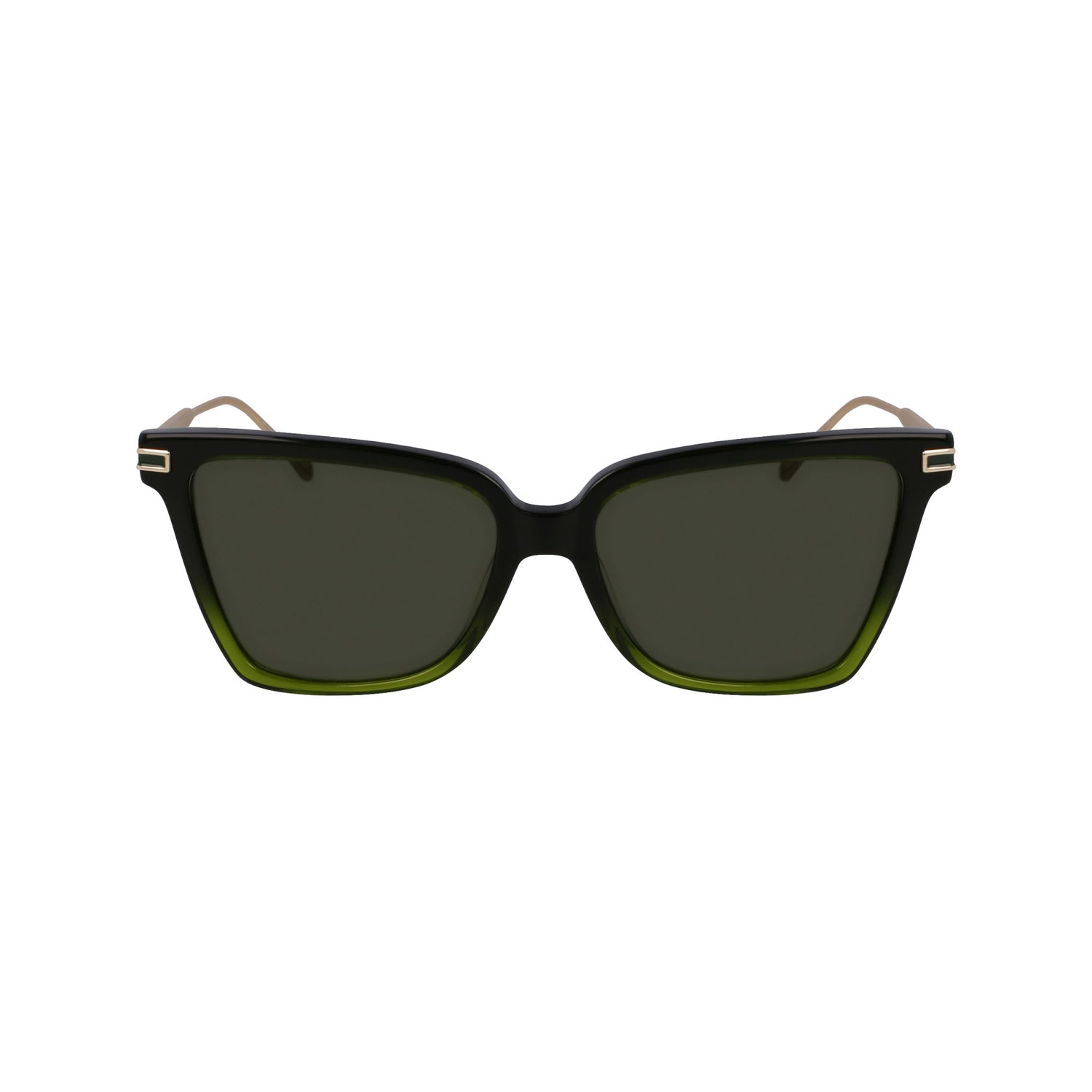 Ferragamo SF2036S