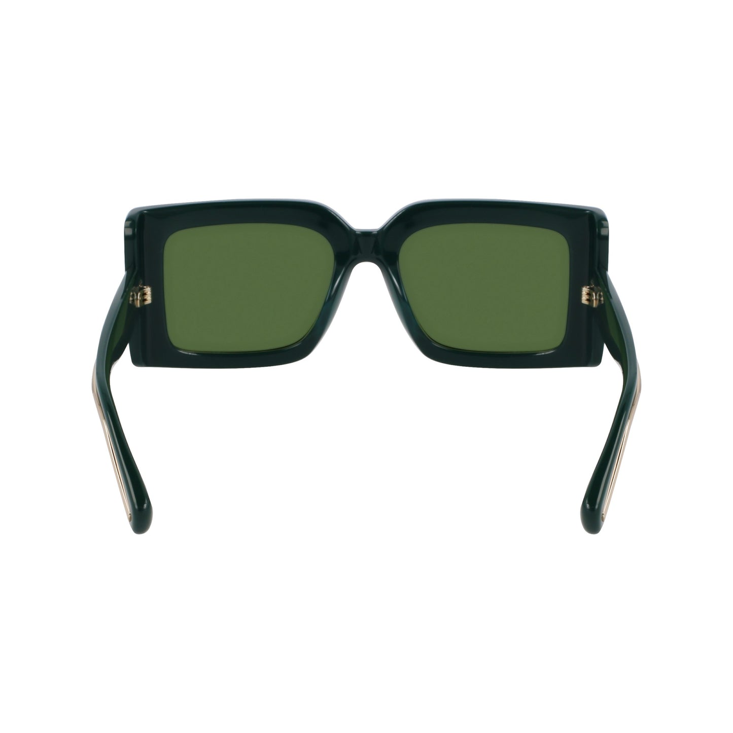 Ferragamo SF2032S
