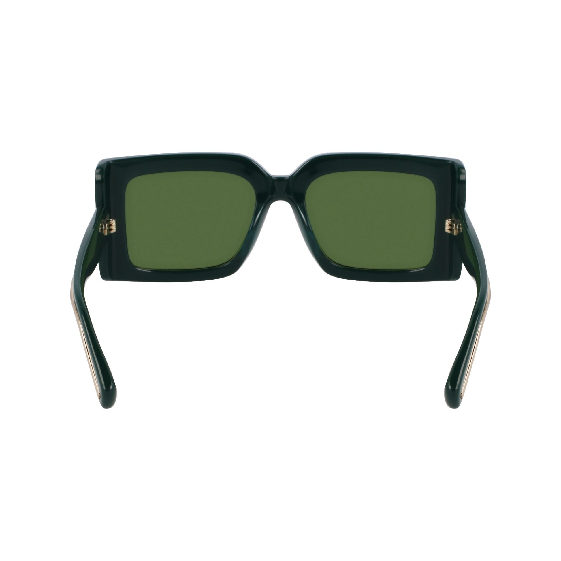 Ferragamo SF2032S