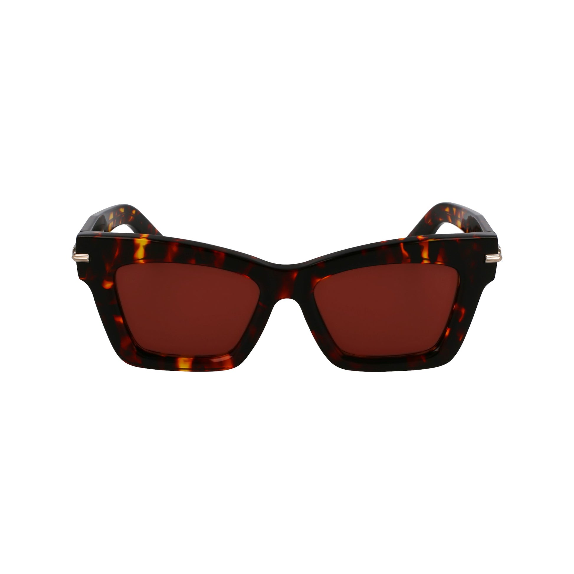 Ferragamo SF2031S