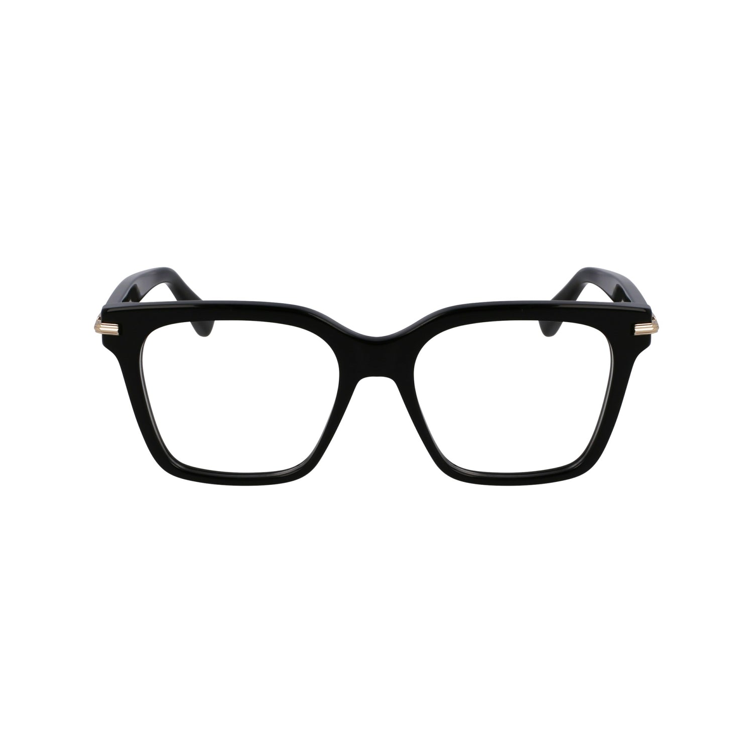 Ferragamo SF3009