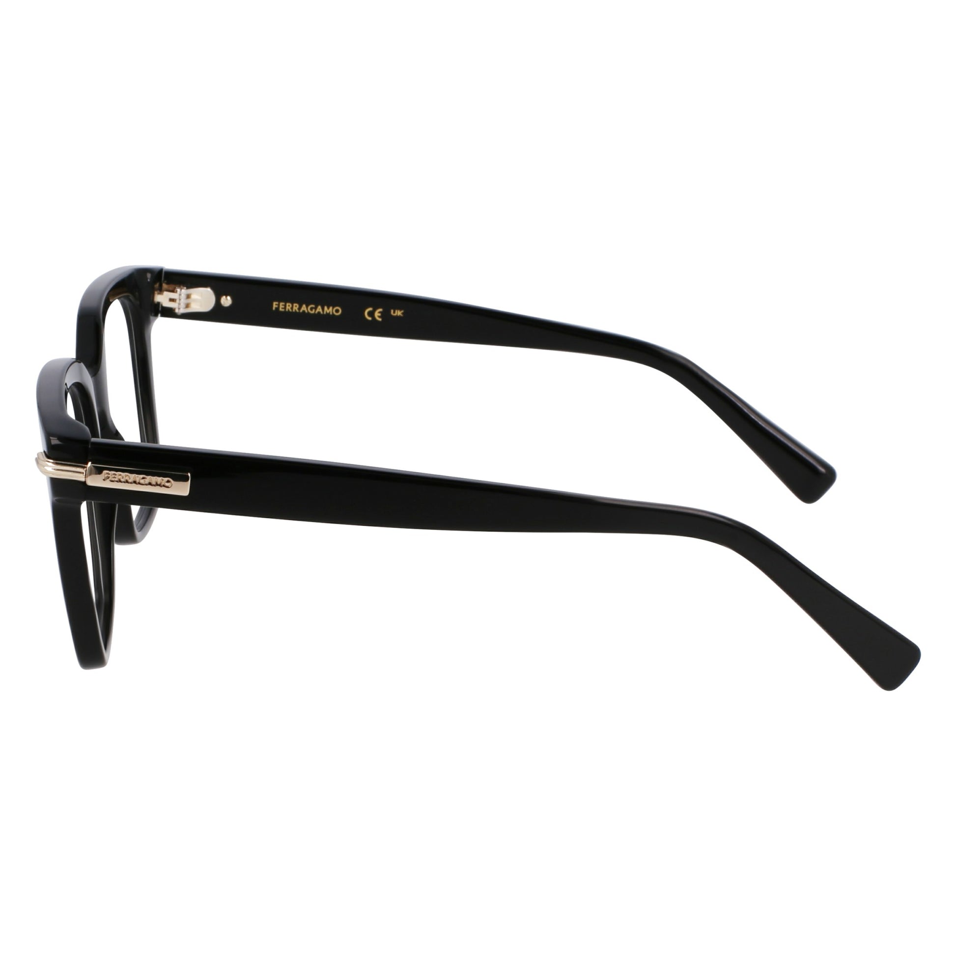 Ferragamo SF3009