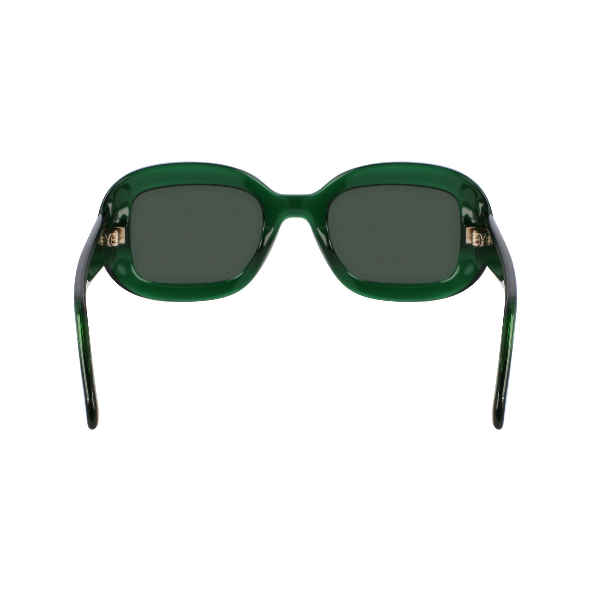 Ferragamo SF2038SE