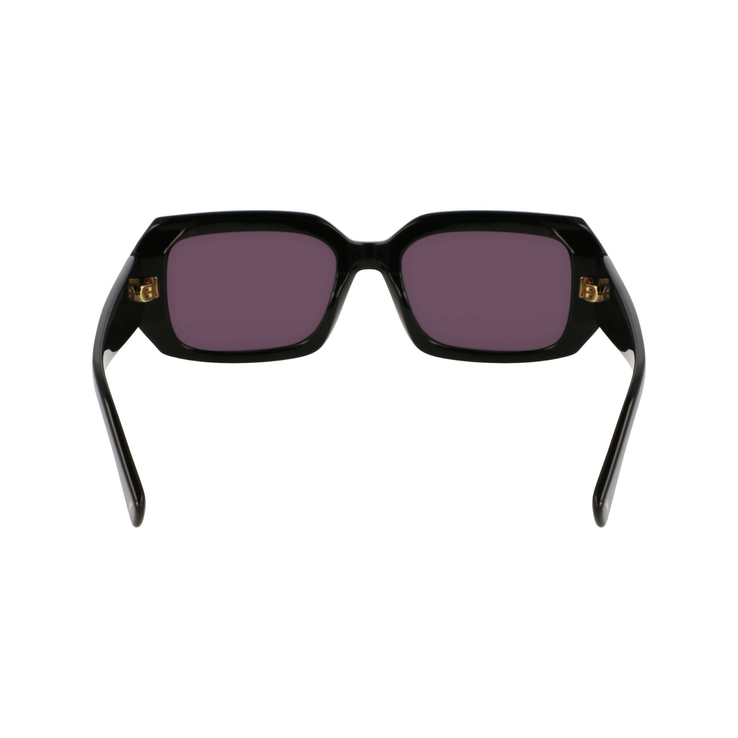 Longchamp LO765S