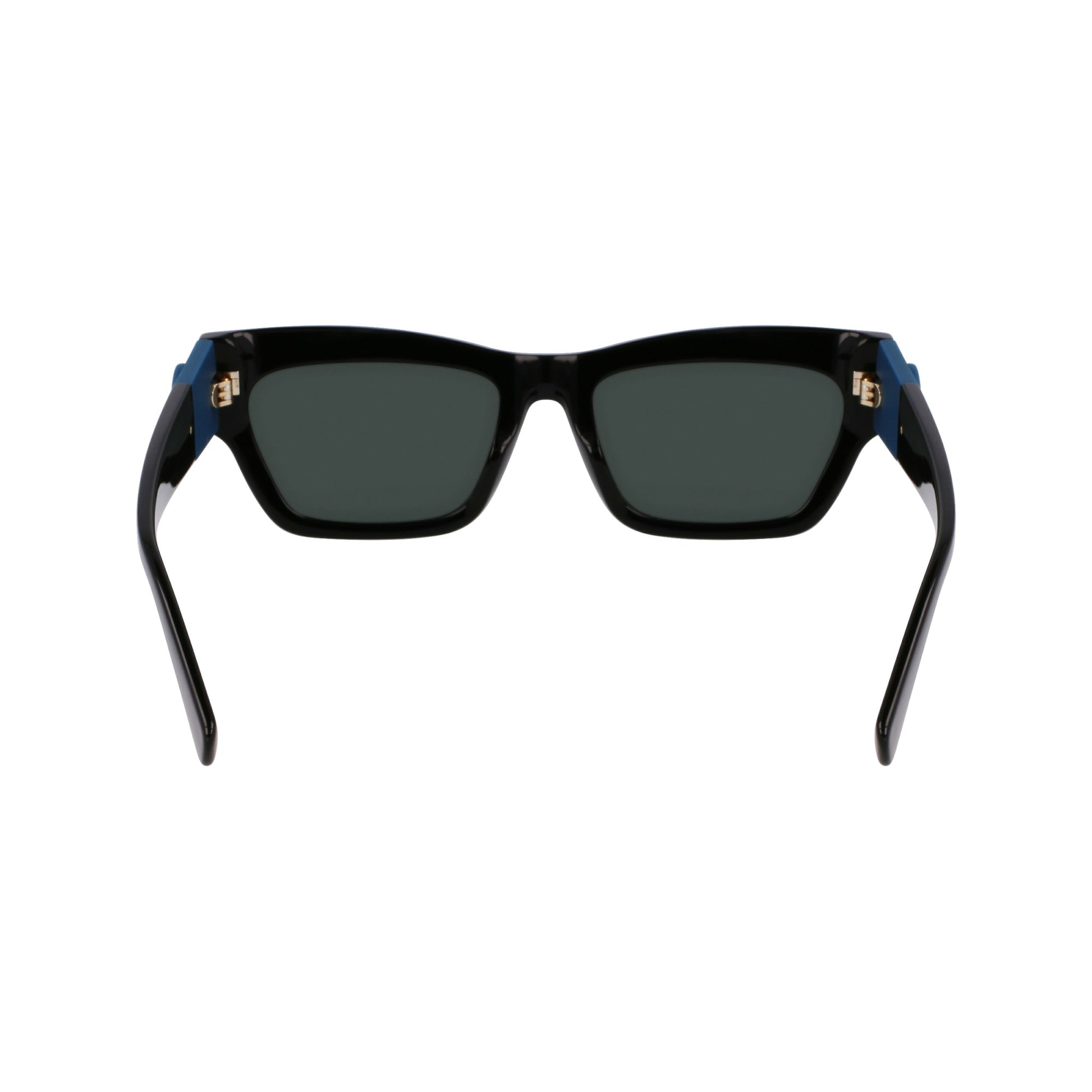 Longchamp LO763S