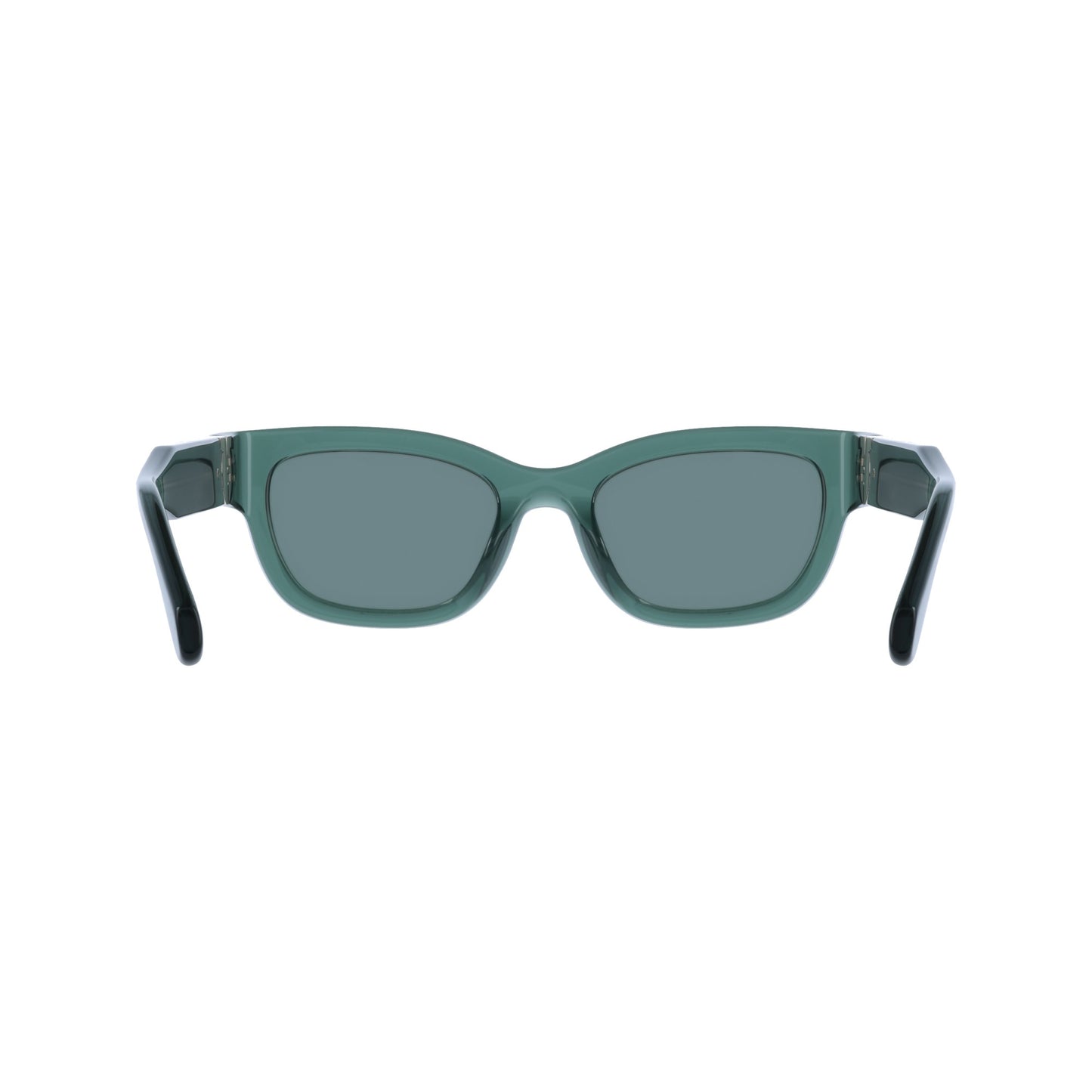 Ferragamo SF2067S